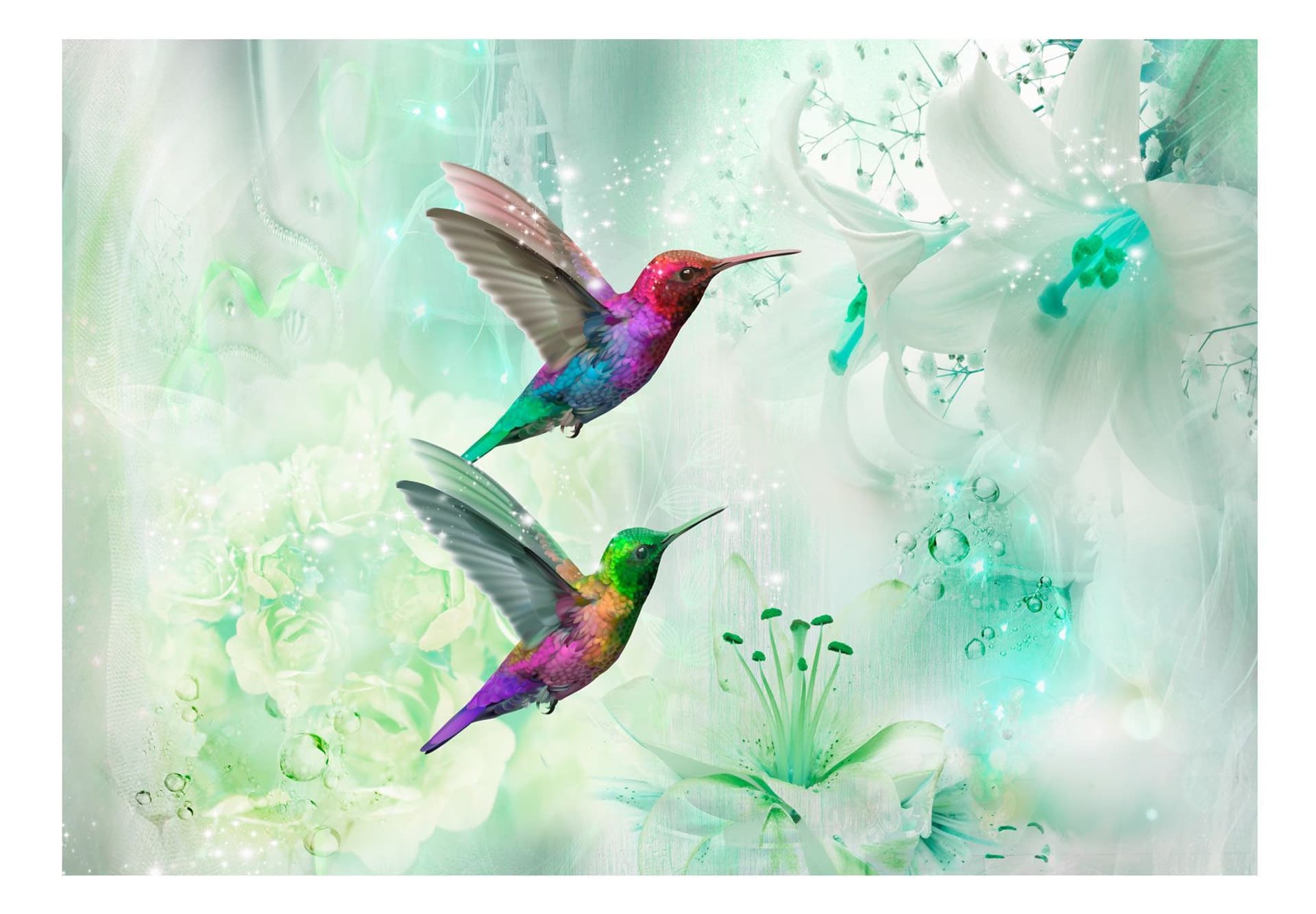 

Fototapeta samoprzylepna - Kolorowe kolibry (zielony) (rozmiar 294x210)