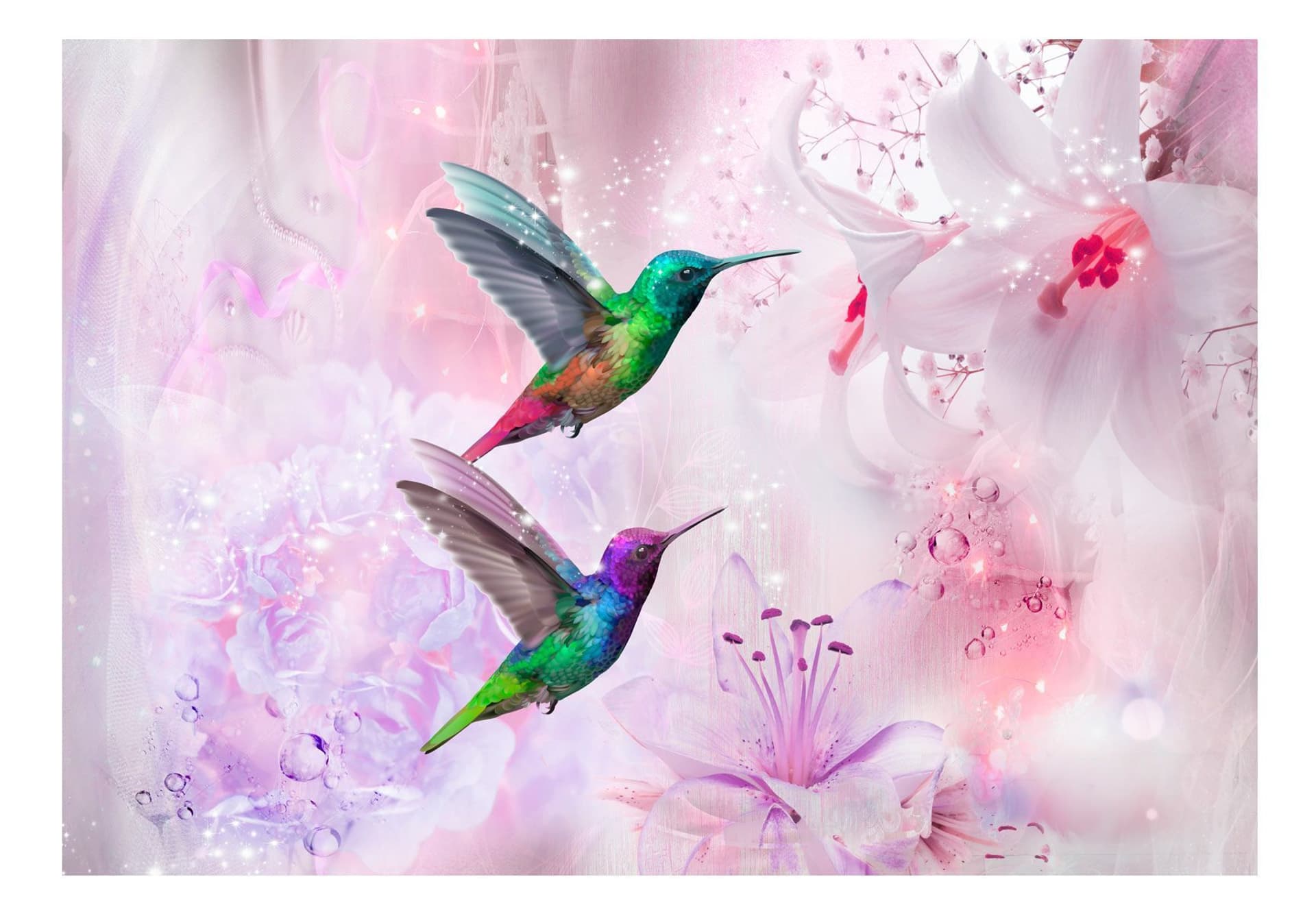 

Fototapeta - Kolorowe kolibry (fioletowy) (rozmiar 350x245)