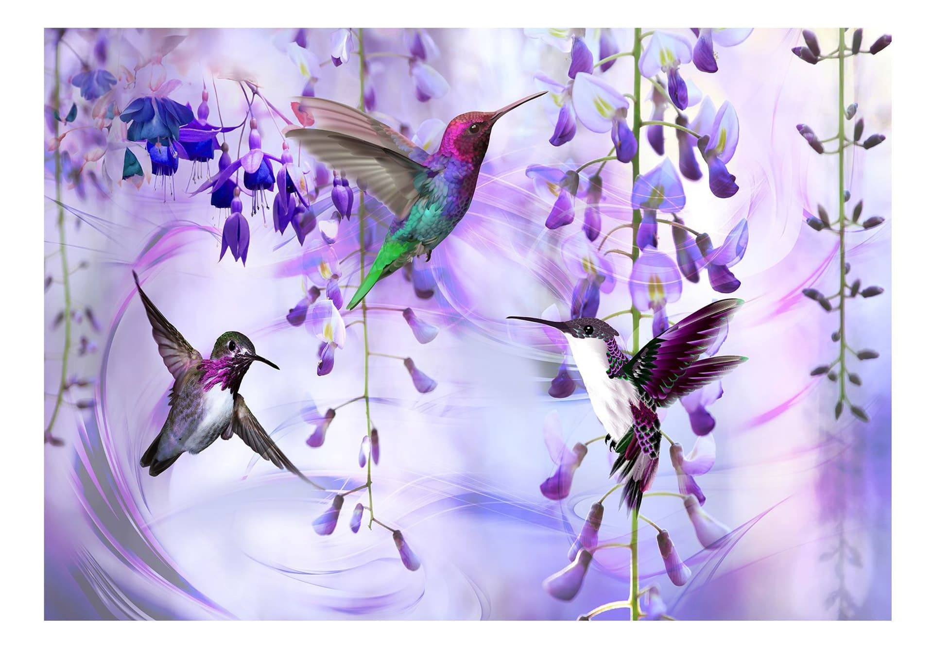 

Fototapeta samoprzylepna - Latające kolibry (fioletowy) (rozmiar 392x280)