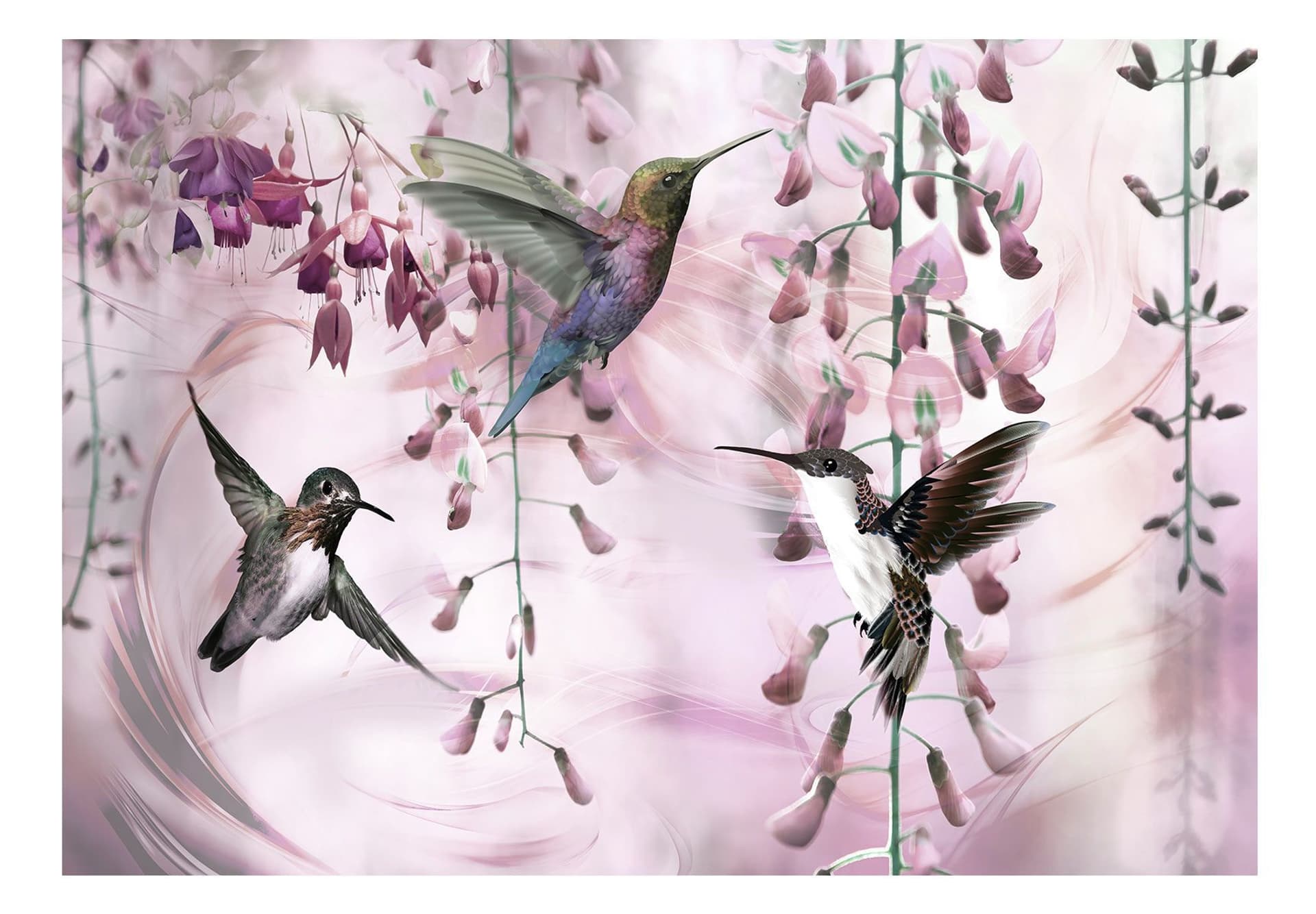 

Fototapeta - Latające kolibry (różowy) (rozmiar 350x245)