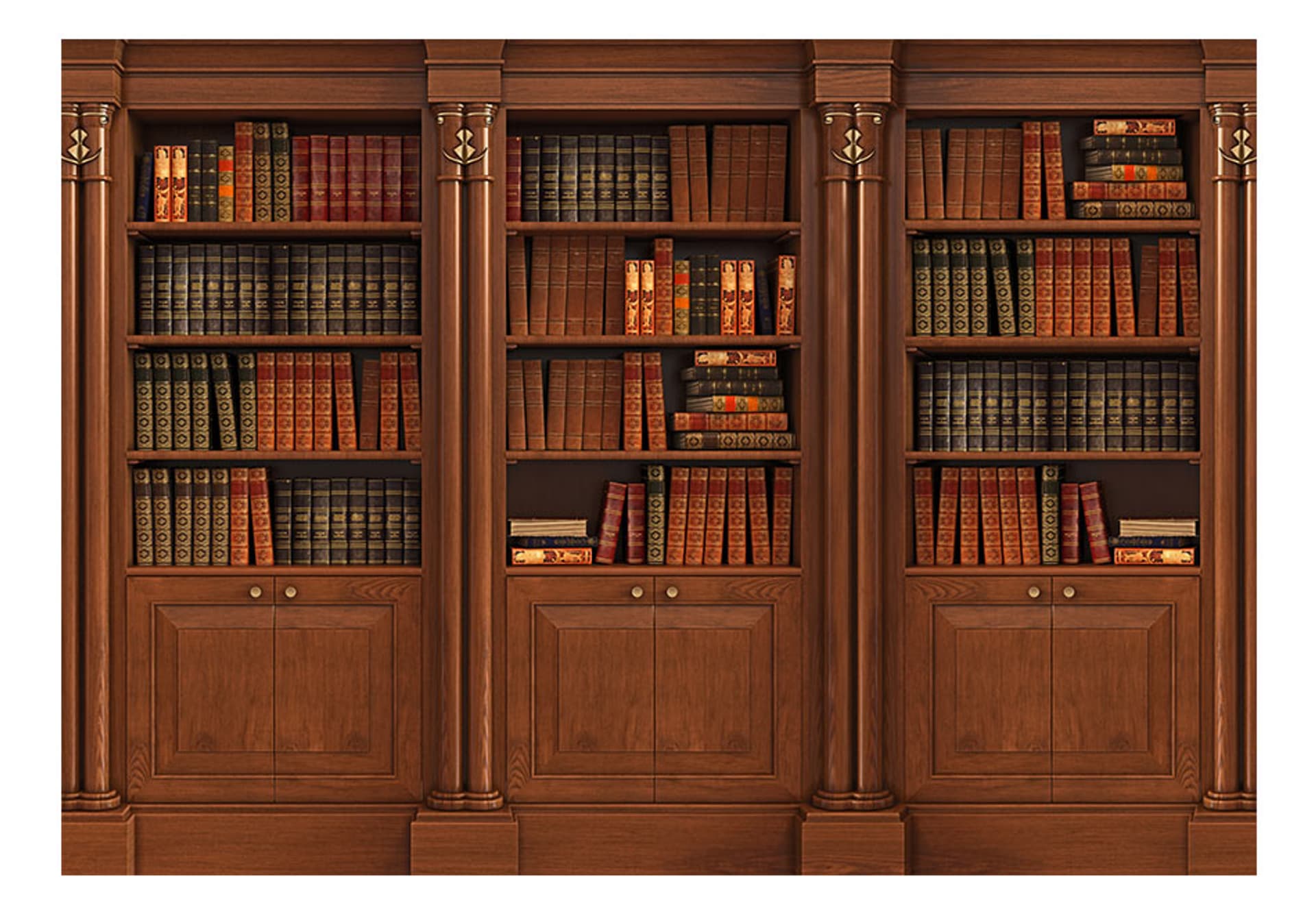 

Fototapeta samoprzylepna - Elegancka biblioteczka (rozmiar 196x140)
