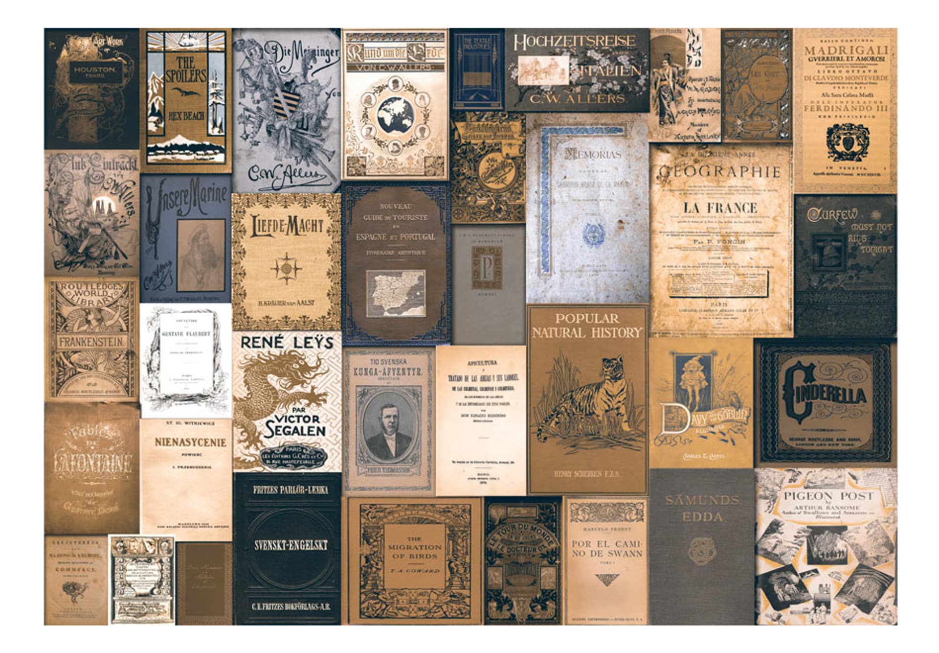 

Fototapeta samoprzylepna - Literacka mozaika (rozmiar 441x315)