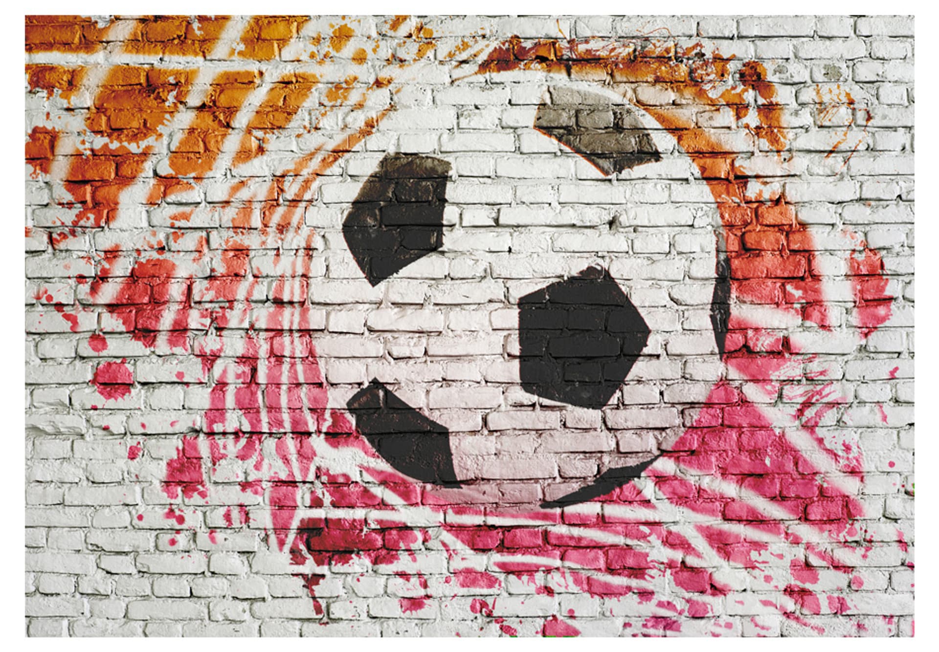 

Fototapeta - Street football (rozmiar 250x175)