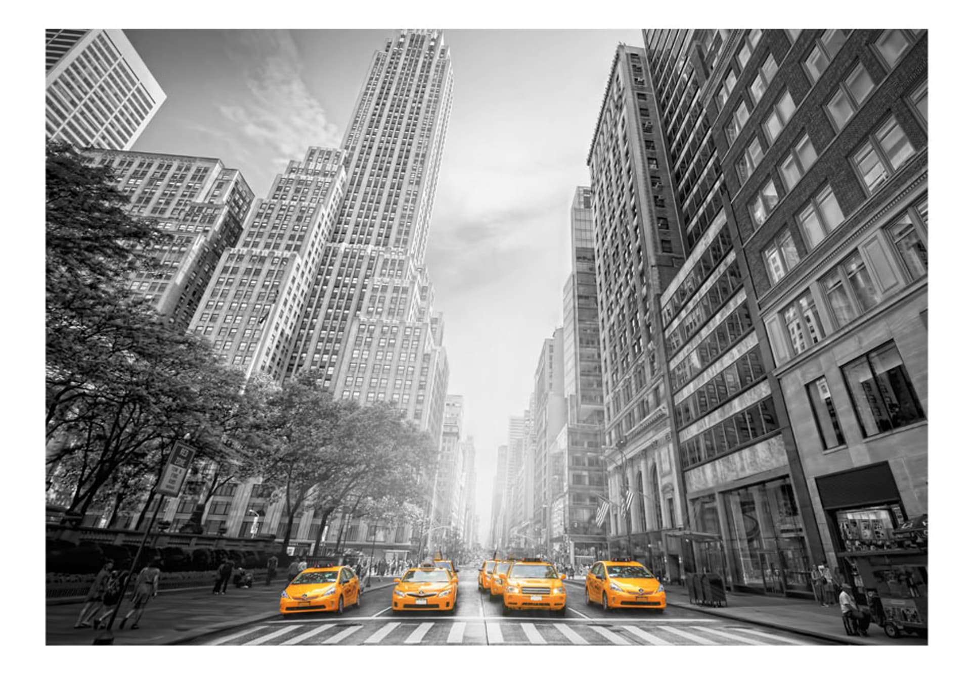 

Fototapeta - New York - yellow taxis (rozmiar 450x315)
