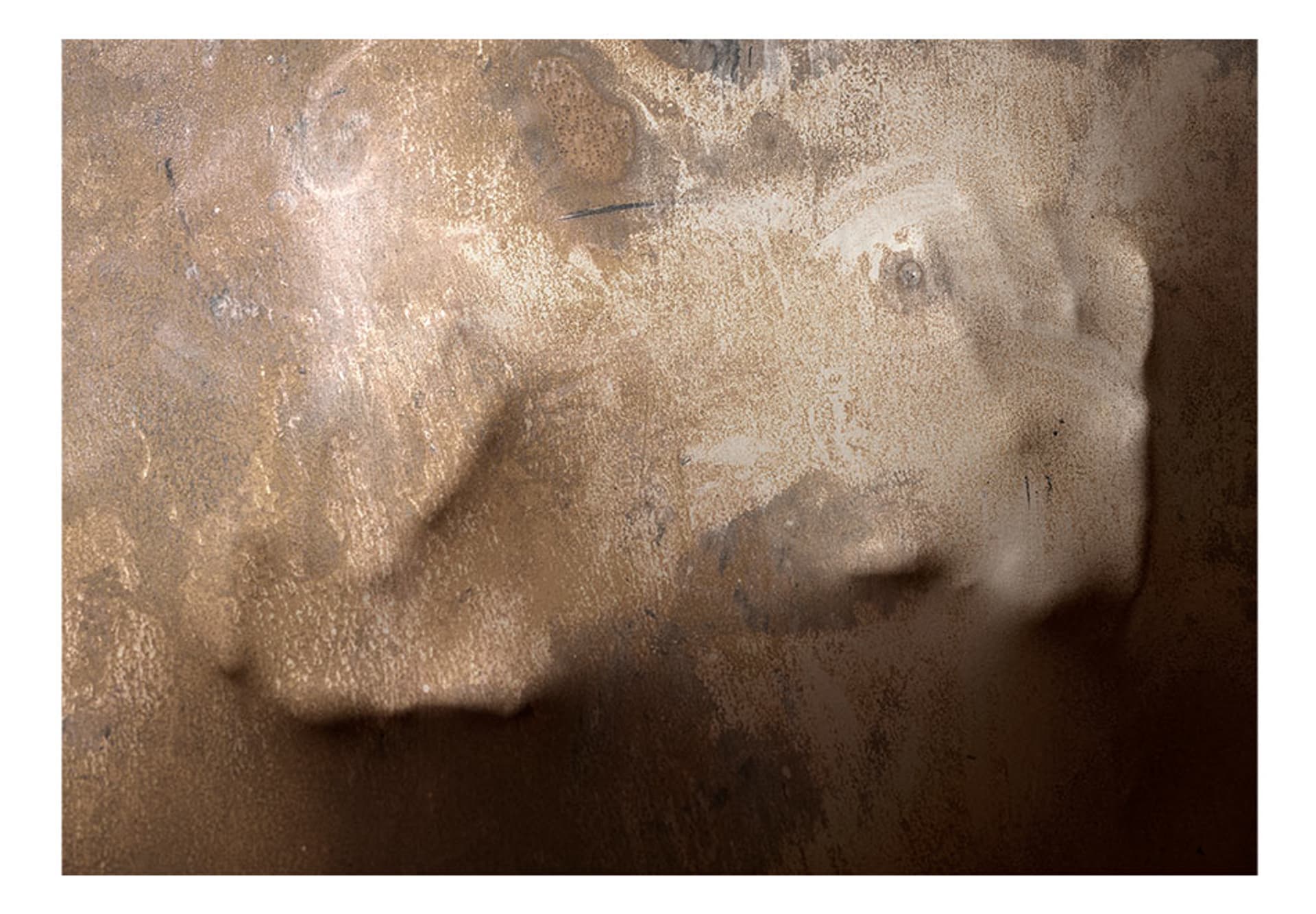 

Fototapeta - Ciepło dłoni (rozmiar 350x245)