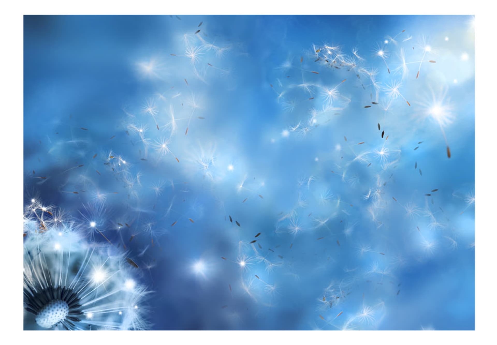 

Fototapeta - Magia natury (rozmiar 200x140)