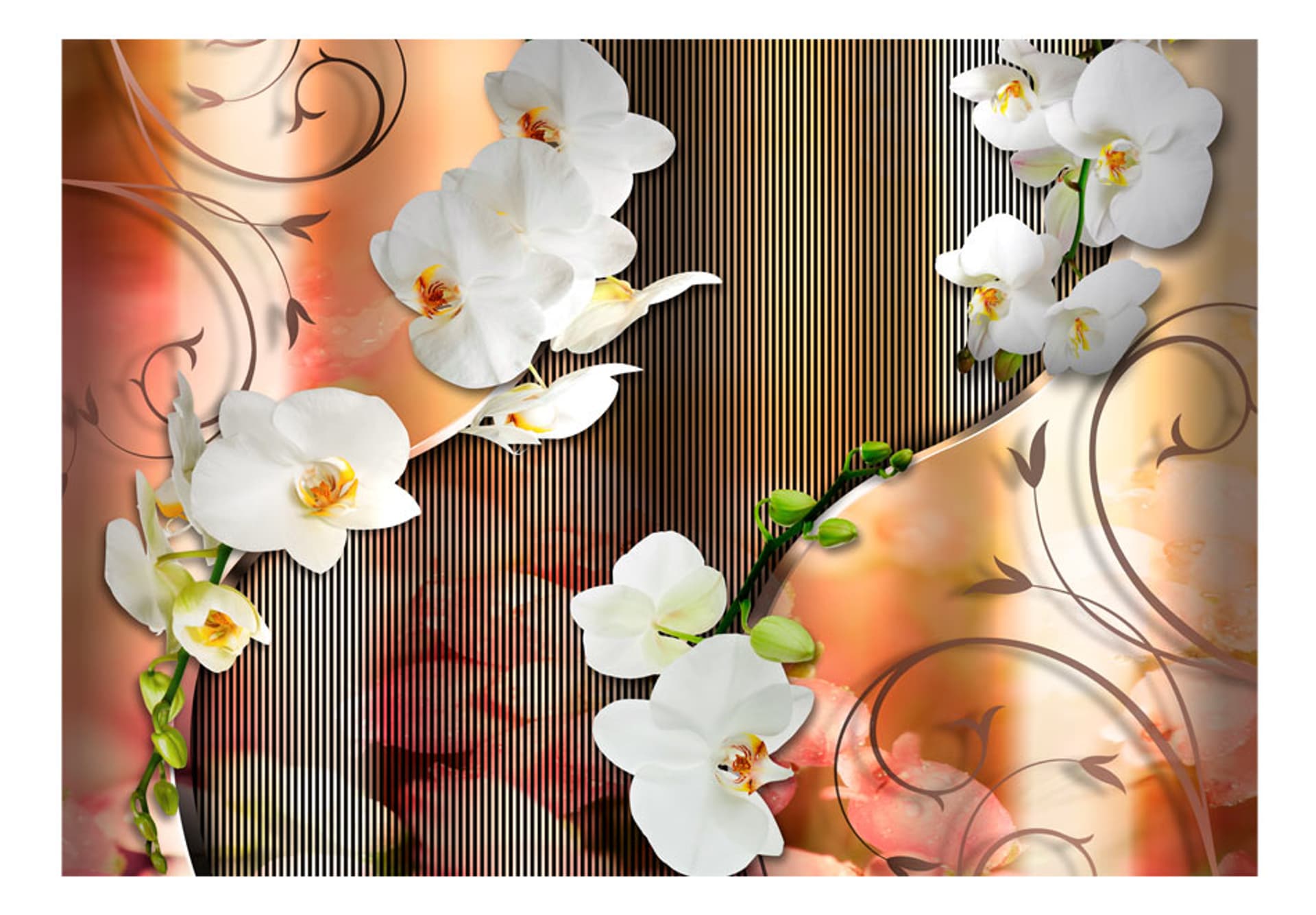 

Fototapeta - Orchidea (rozmiar 300x210)