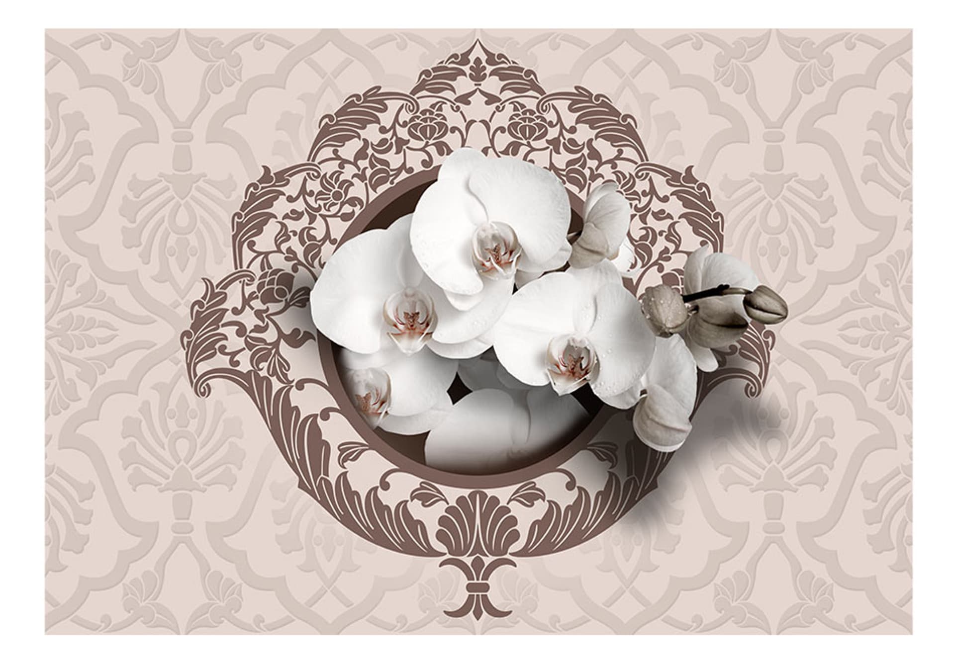 

Fototapeta - Królewskie orchidee (rozmiar 300x210)