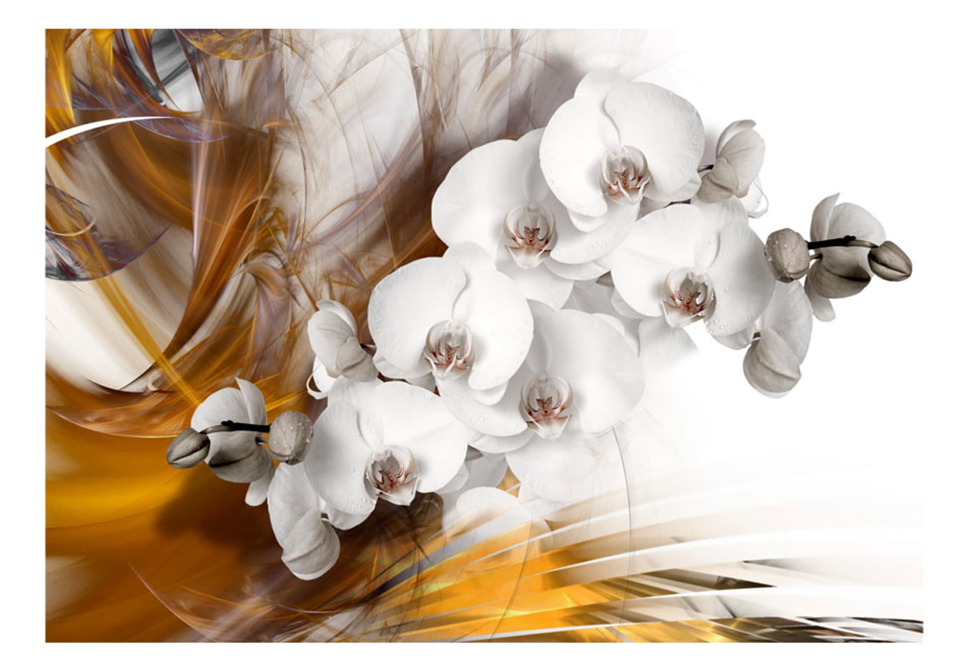 

Fototapeta - Orchidea w ogniu (rozmiar 350x245)