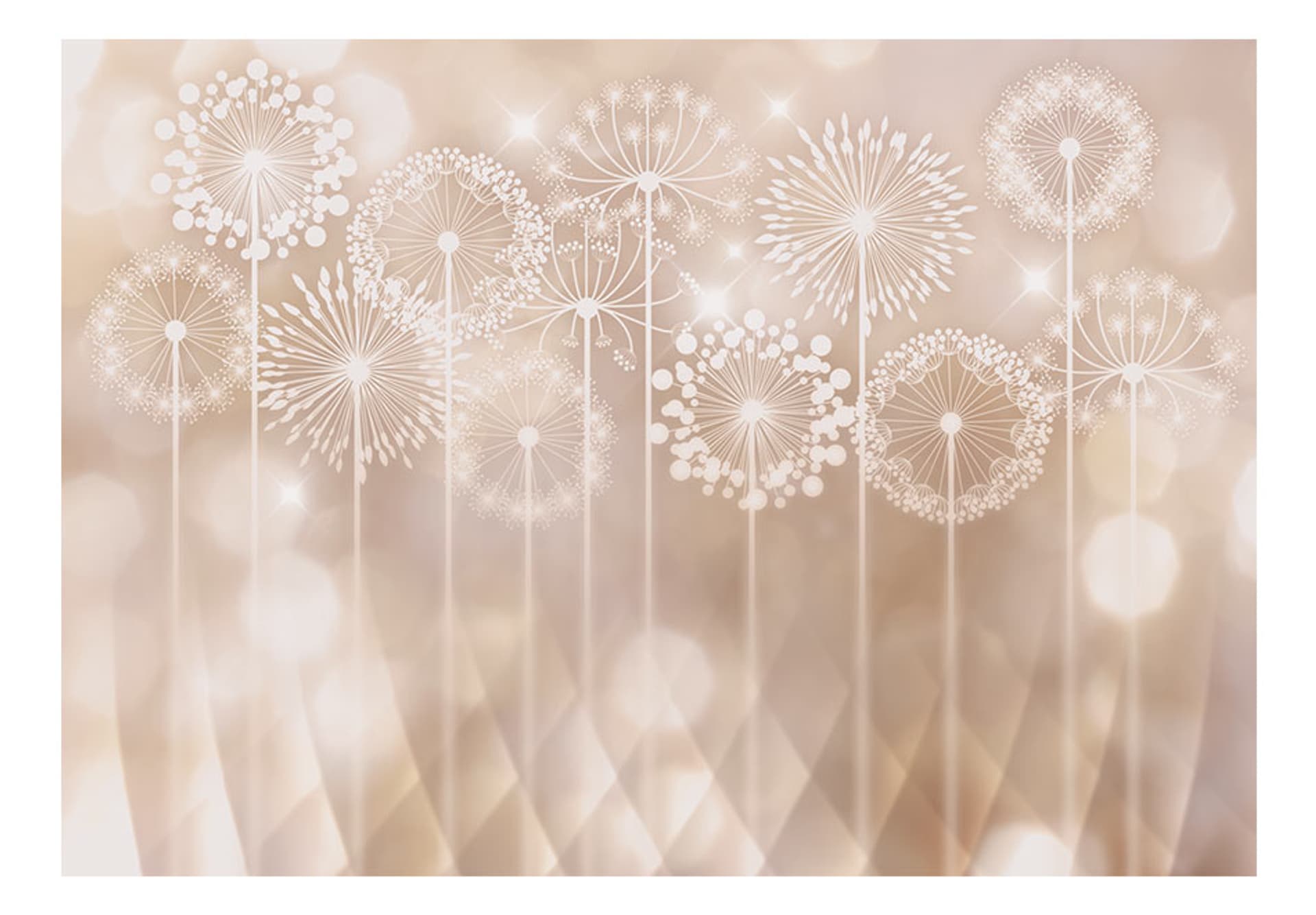 

Fototapeta - Promienne kwiaty (rozmiar 150x105)