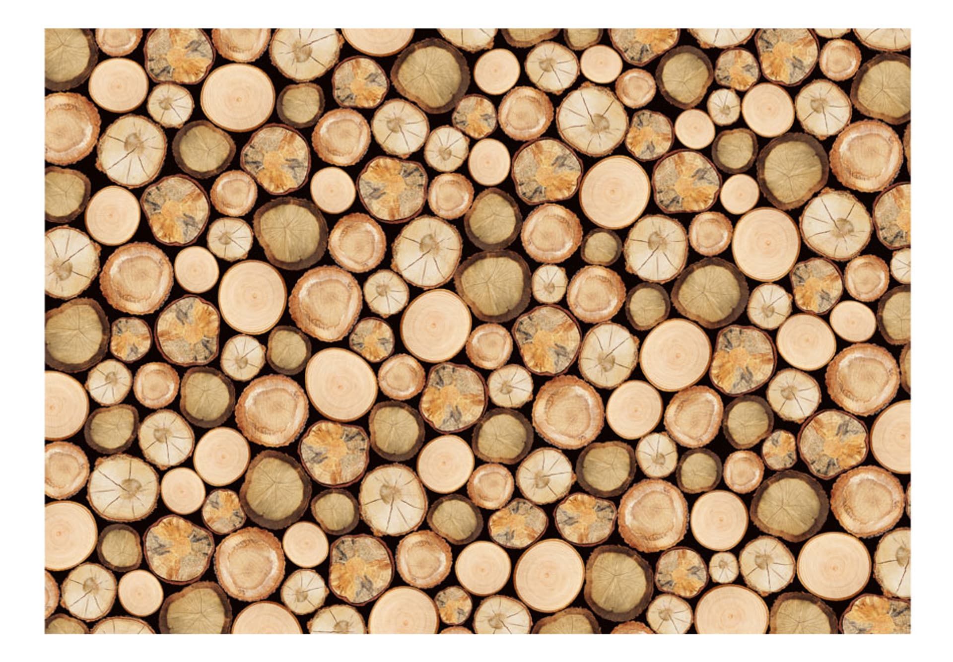 

Fototapeta - W tartaku (rozmiar 400x280)