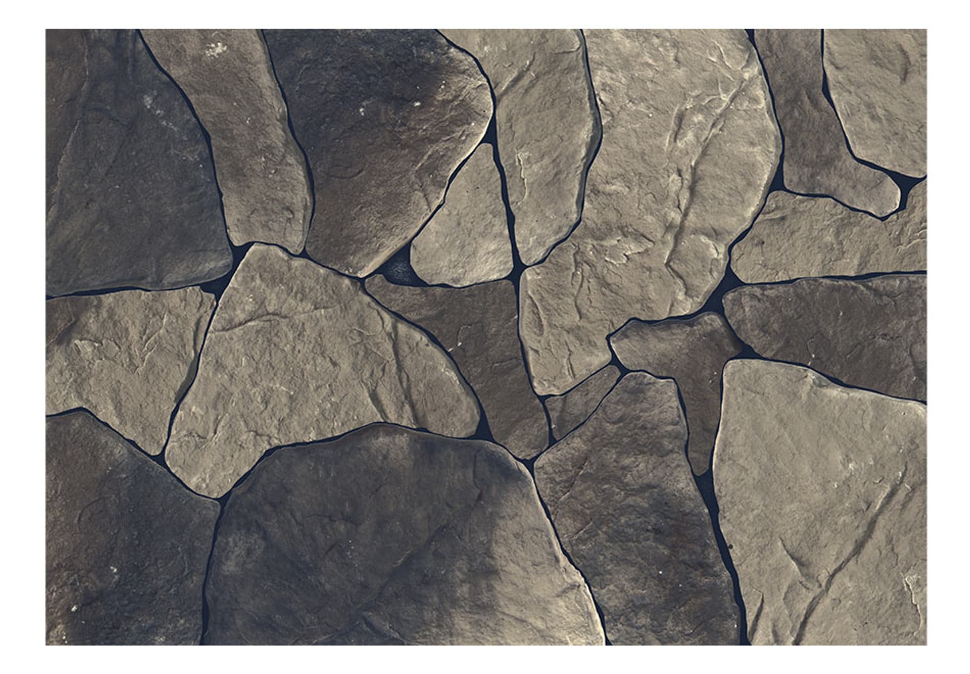 

Fototapeta - Baltic Brown (rozmiar 400x280)