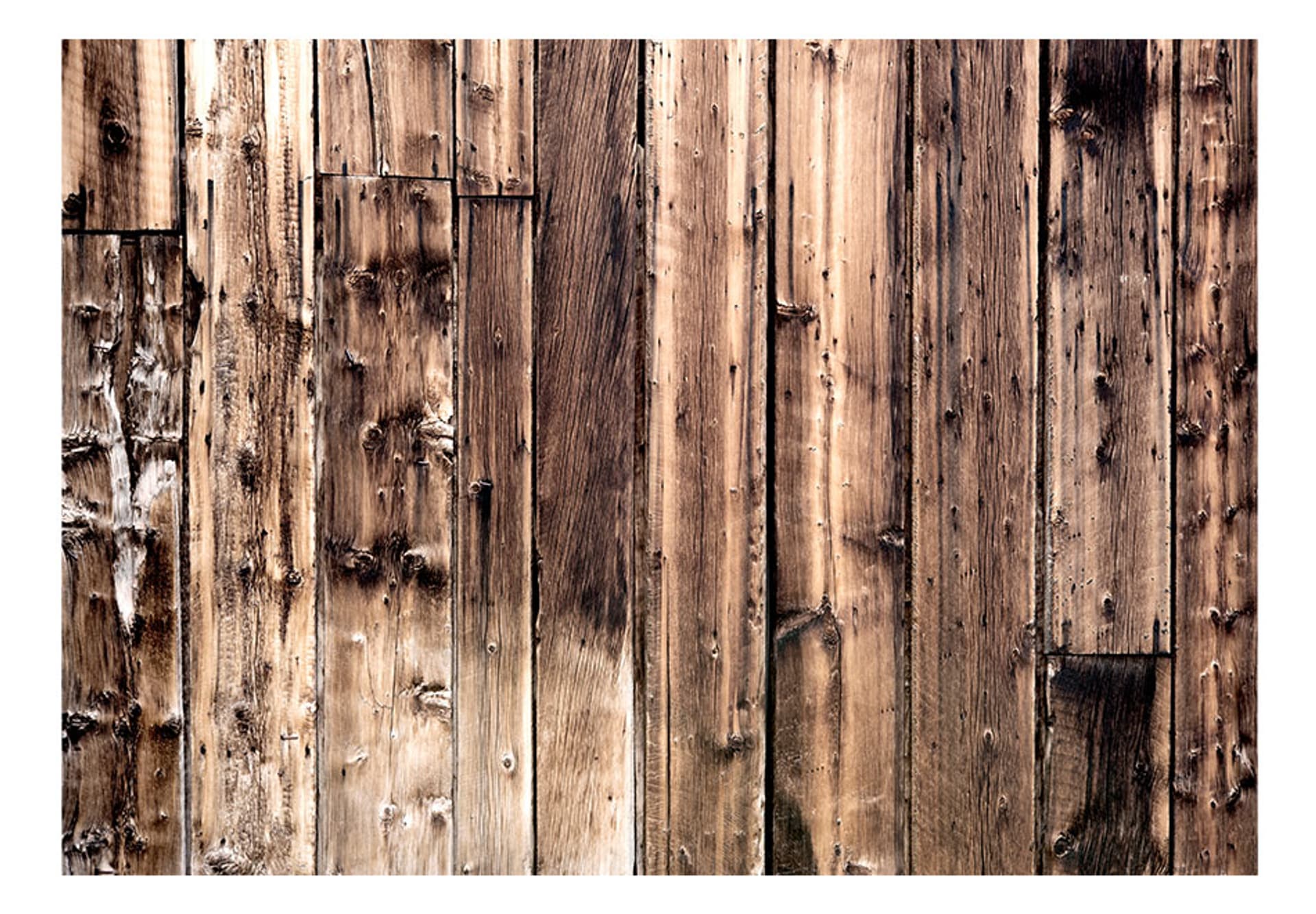 

Fototapeta - Poezja drewna (rozmiar 200x140)