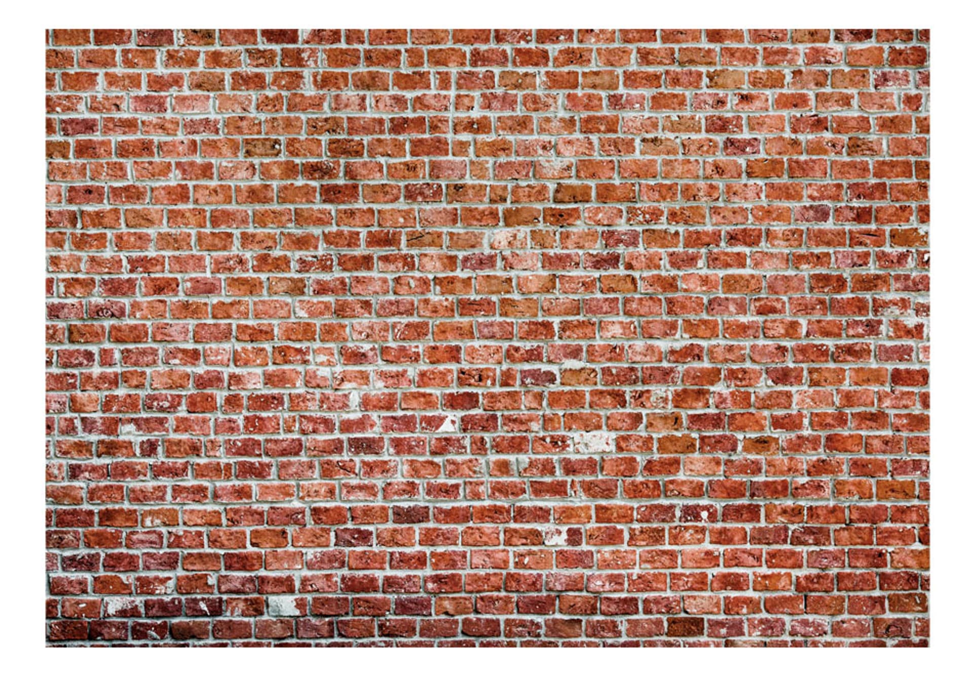 

Fototapeta - Czerwona skała (rozmiar 150x105)