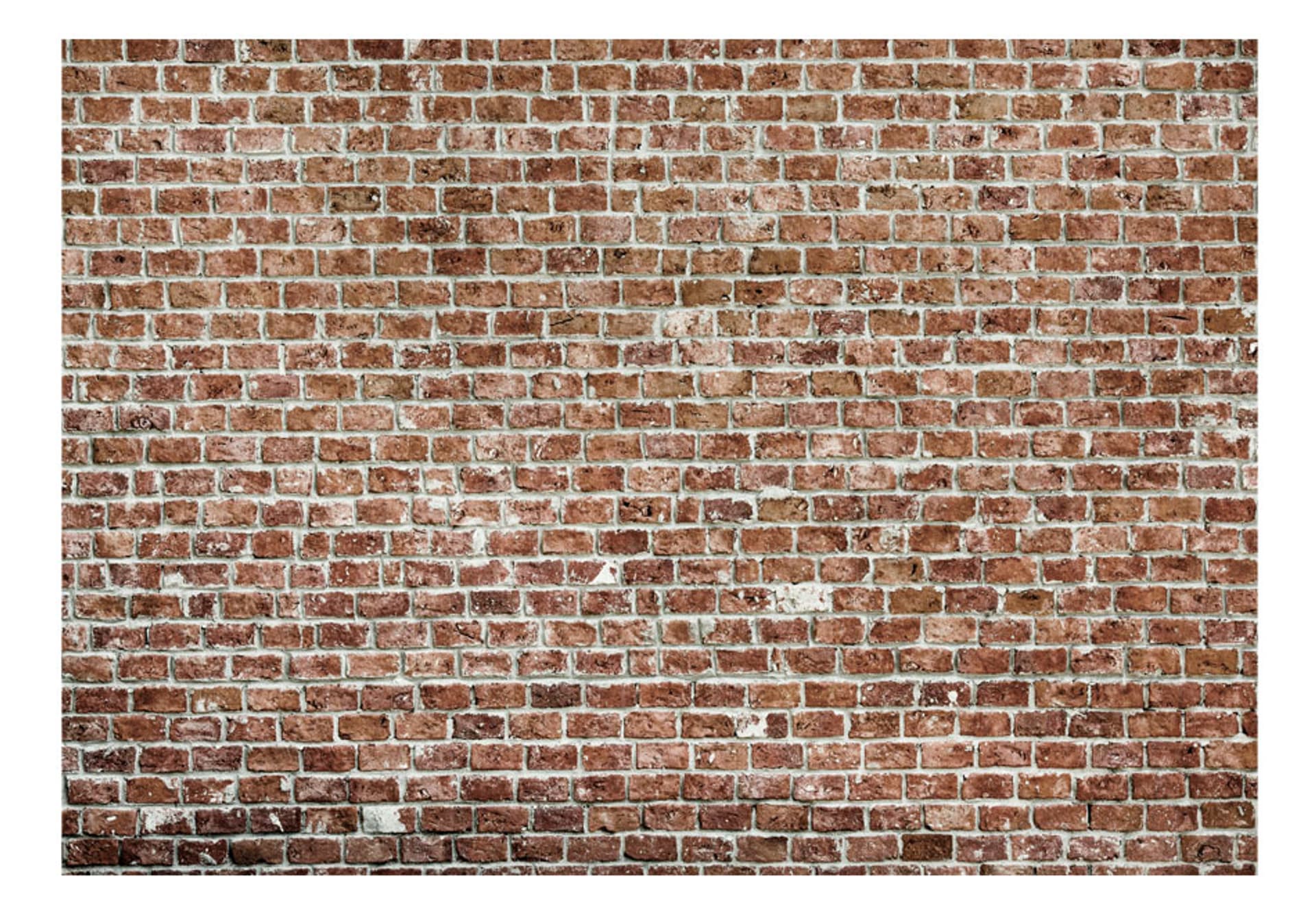 

Fototapeta - Stara władza (rozmiar 200x140)