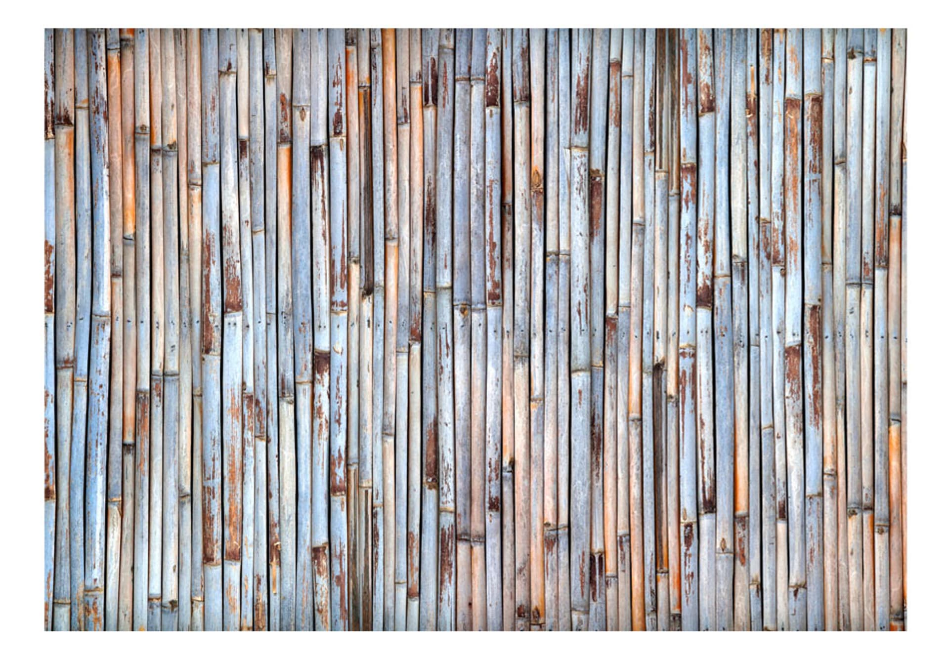 

Fototapeta - Azjatycka historia (rozmiar 100x70)