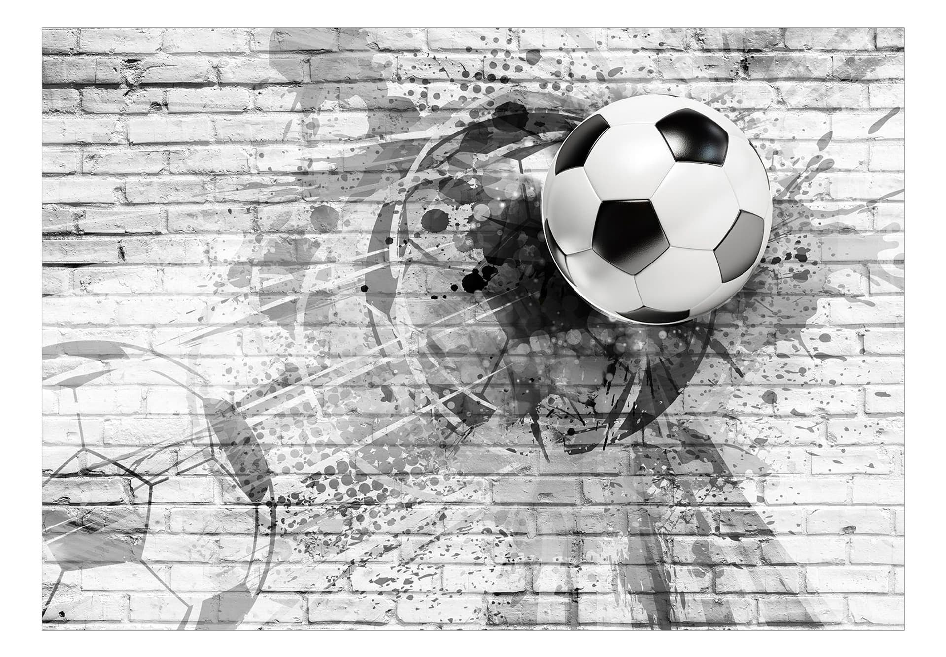 

Fototapeta - Dynamika futbolu (rozmiar 450x315)