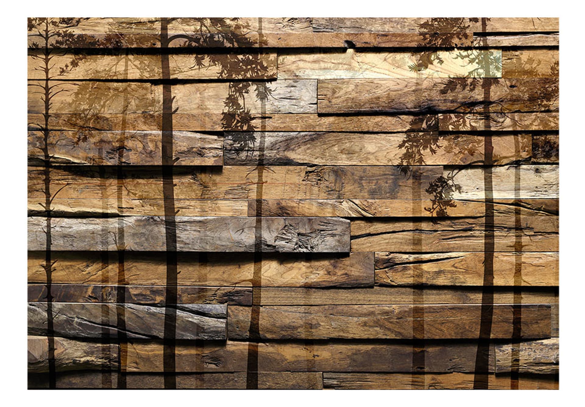 

Fototapeta - Cień drzew (rozmiar 150x105)