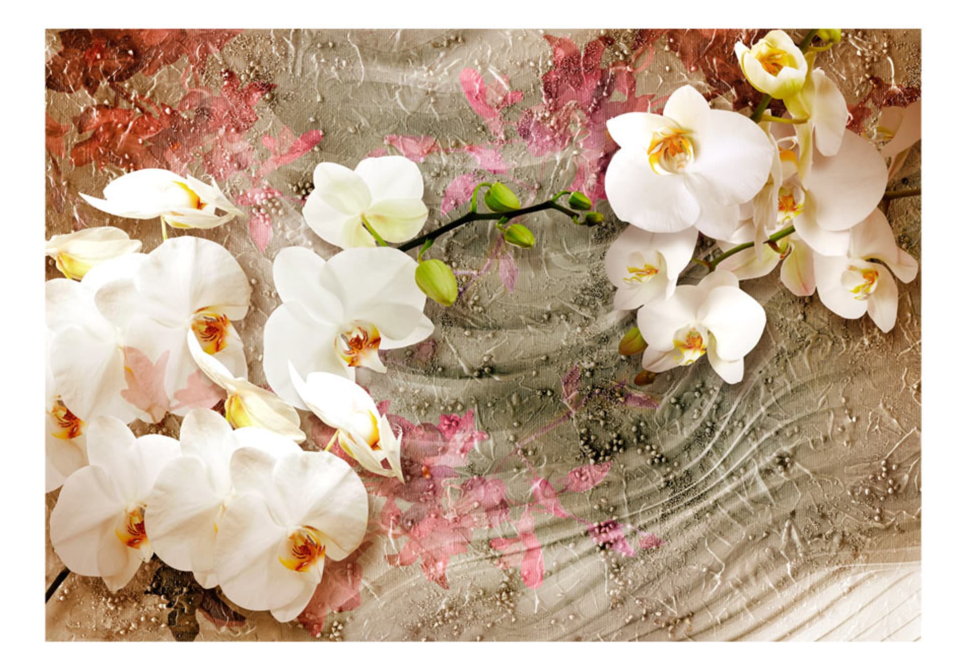 

Fototapeta - Pustynna orchidea (rozmiar 300x210)