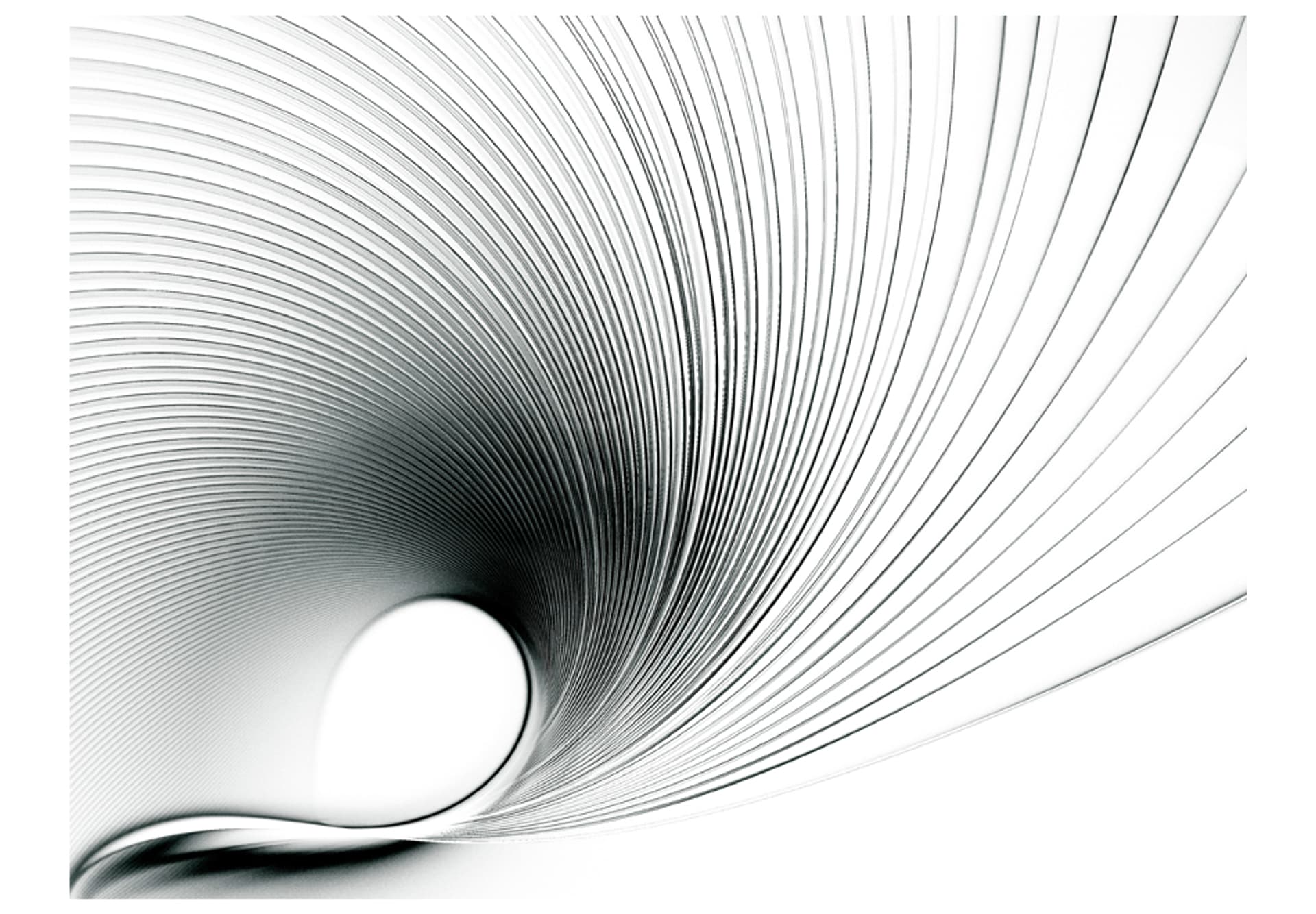 

Fototapeta - Abstract fan (rozmiar 200x154)