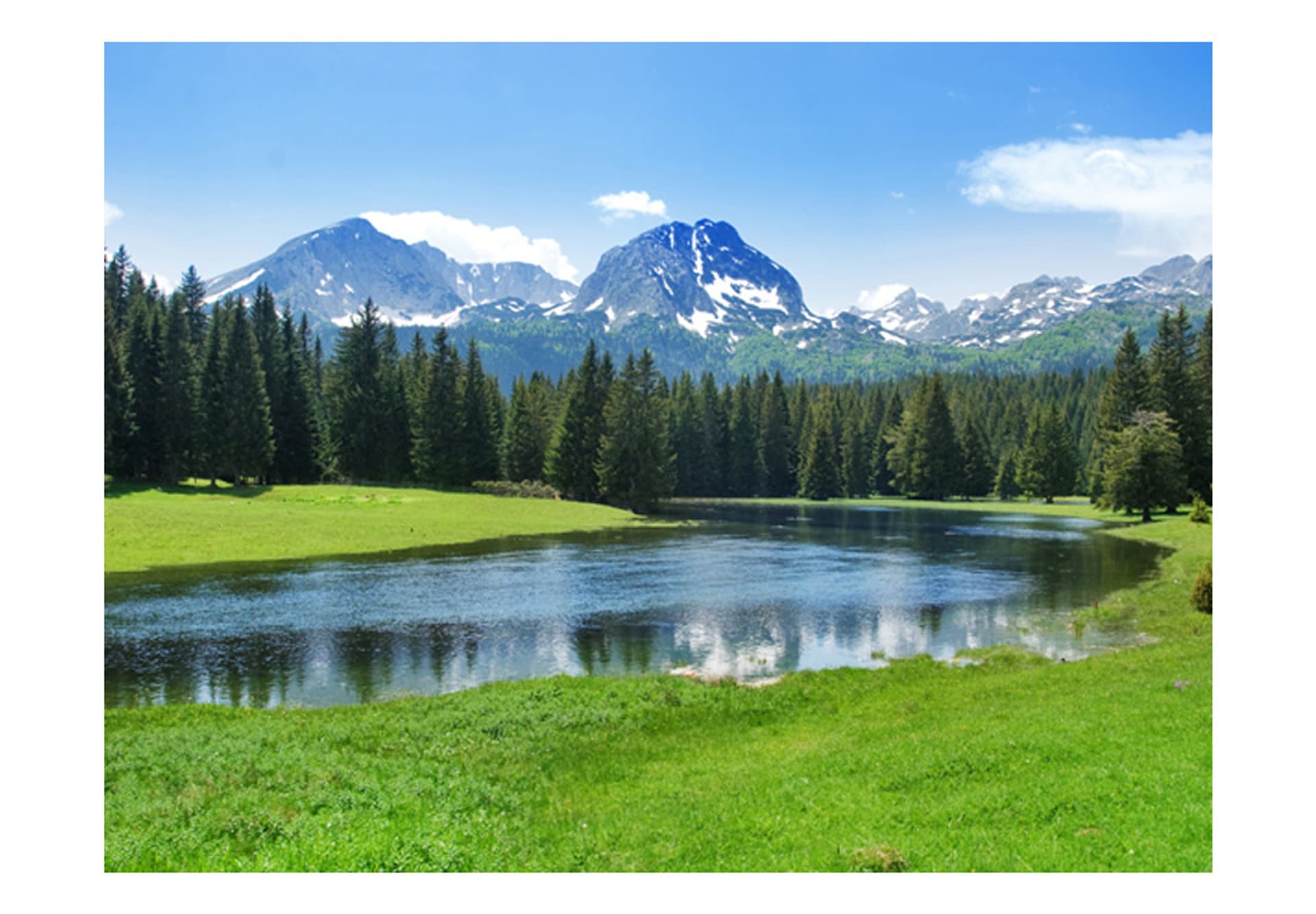

Fototapeta - National Park Durmitor, Montenegro (rozmiar 400x309)