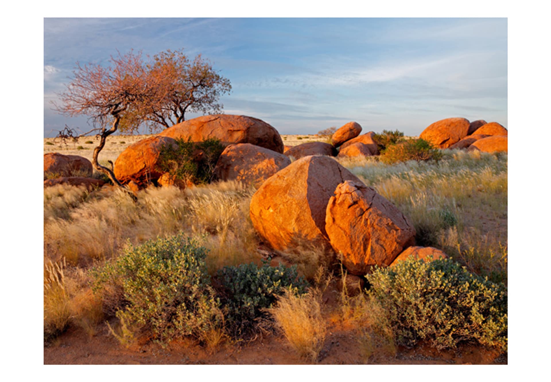

Fototapeta - Pejzaż afrykański, Namibia (rozmiar 400x309)