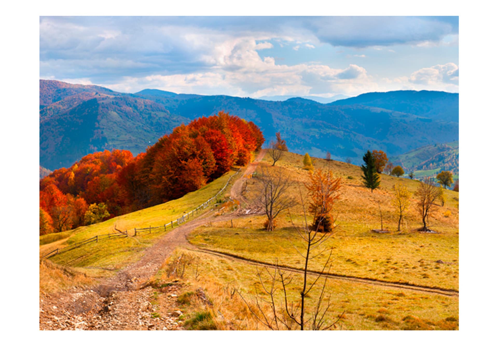 

Fototapeta - Kolorowy jesienny pejzaż, Karpaty (rozmiar 400x309)