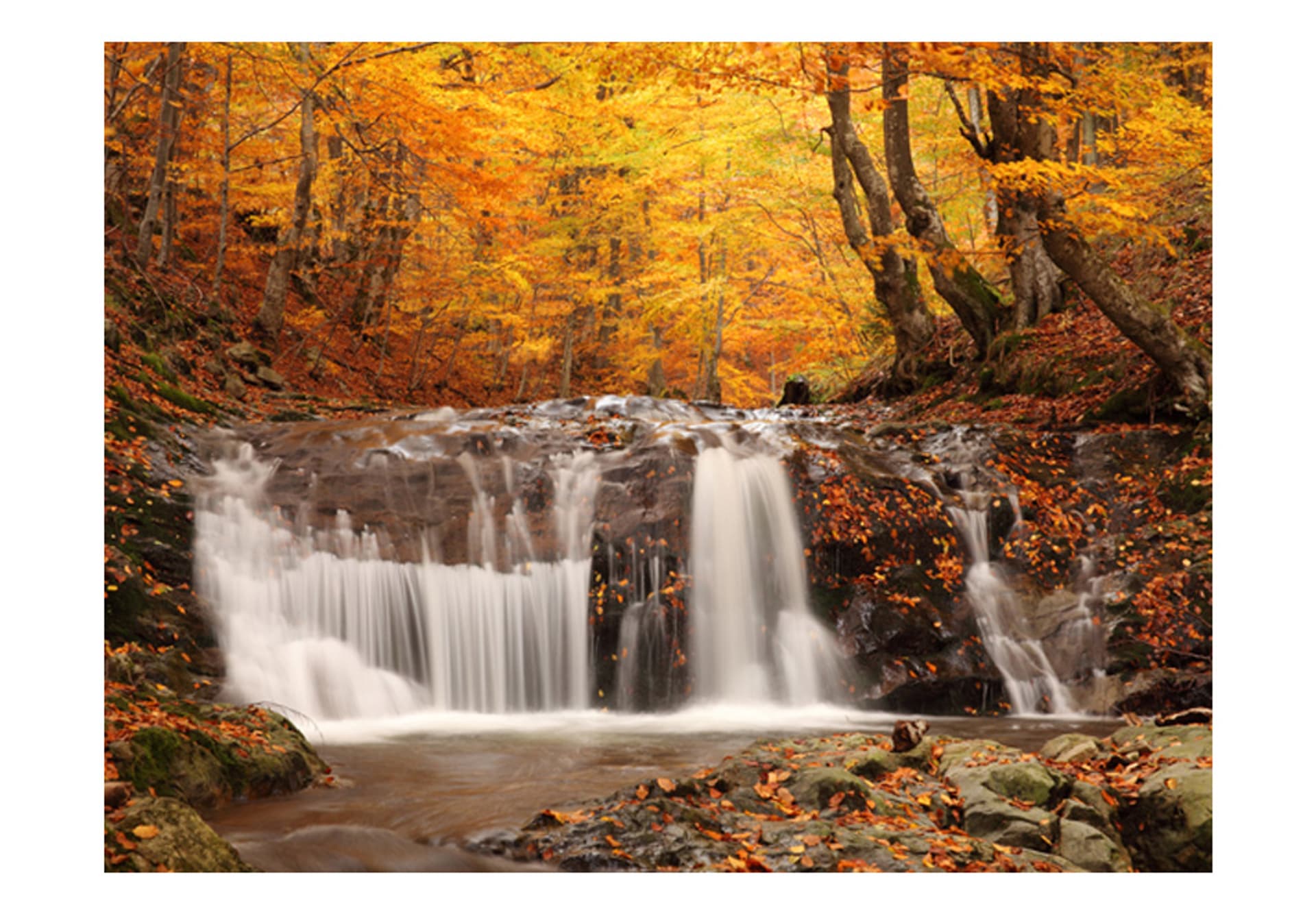 

Fototapeta - Autumn landscape : waterfall in forest (rozmiar 350x270)