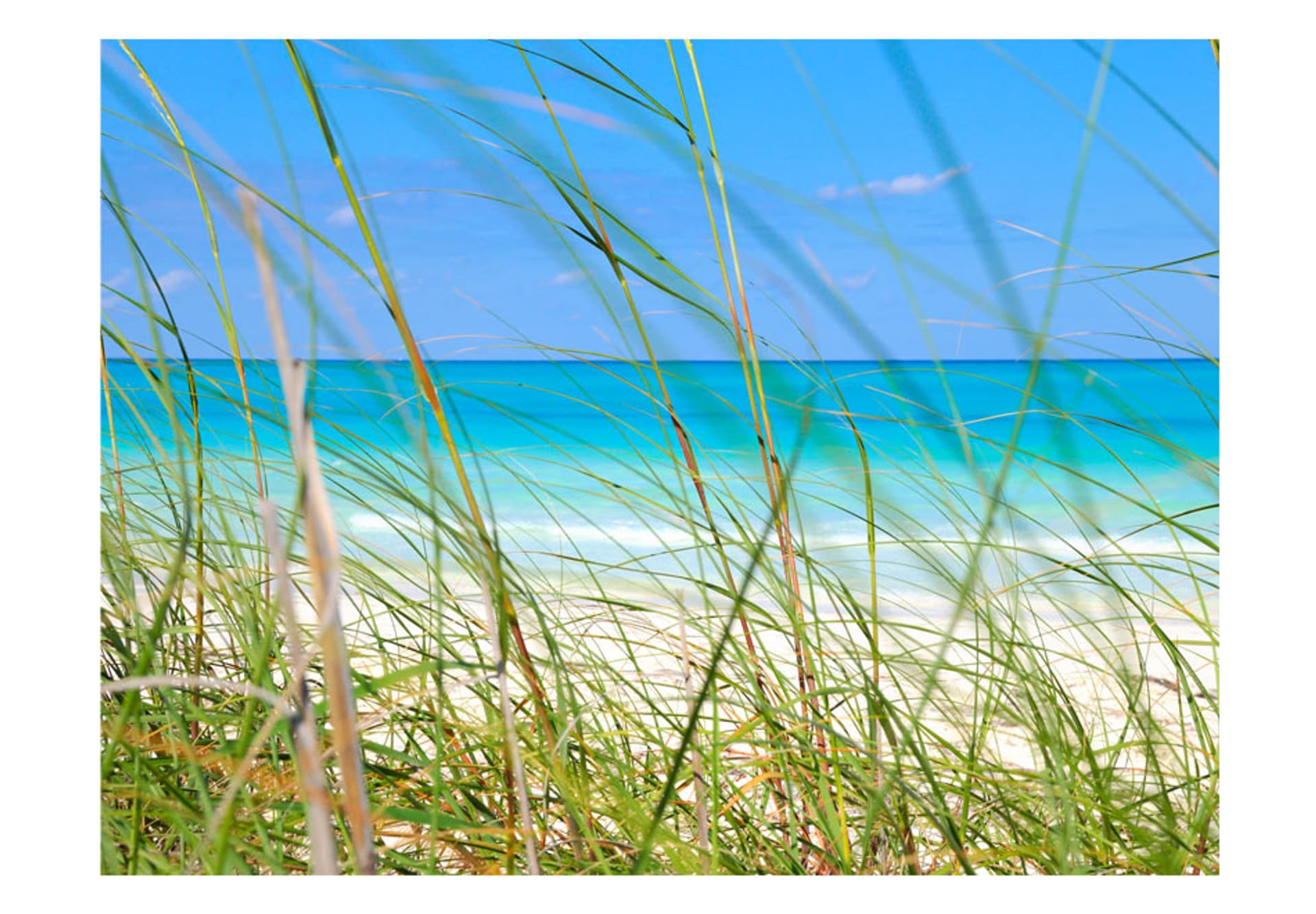 

Fototapeta - Tropical journey (rozmiar 200x154)