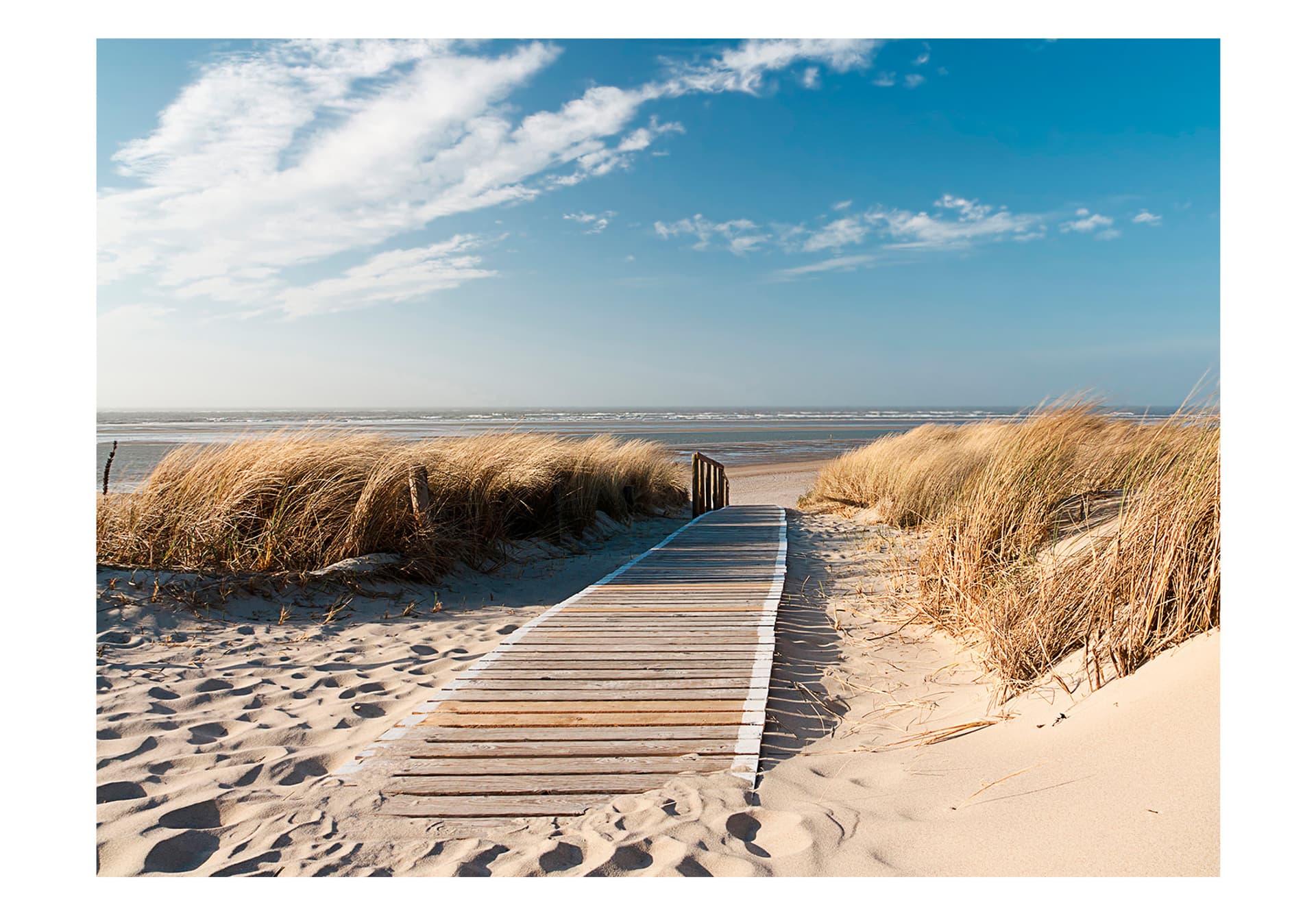 

Fototapeta - Plaża Morza Północnego, Langeoog (rozmiar 250x193)