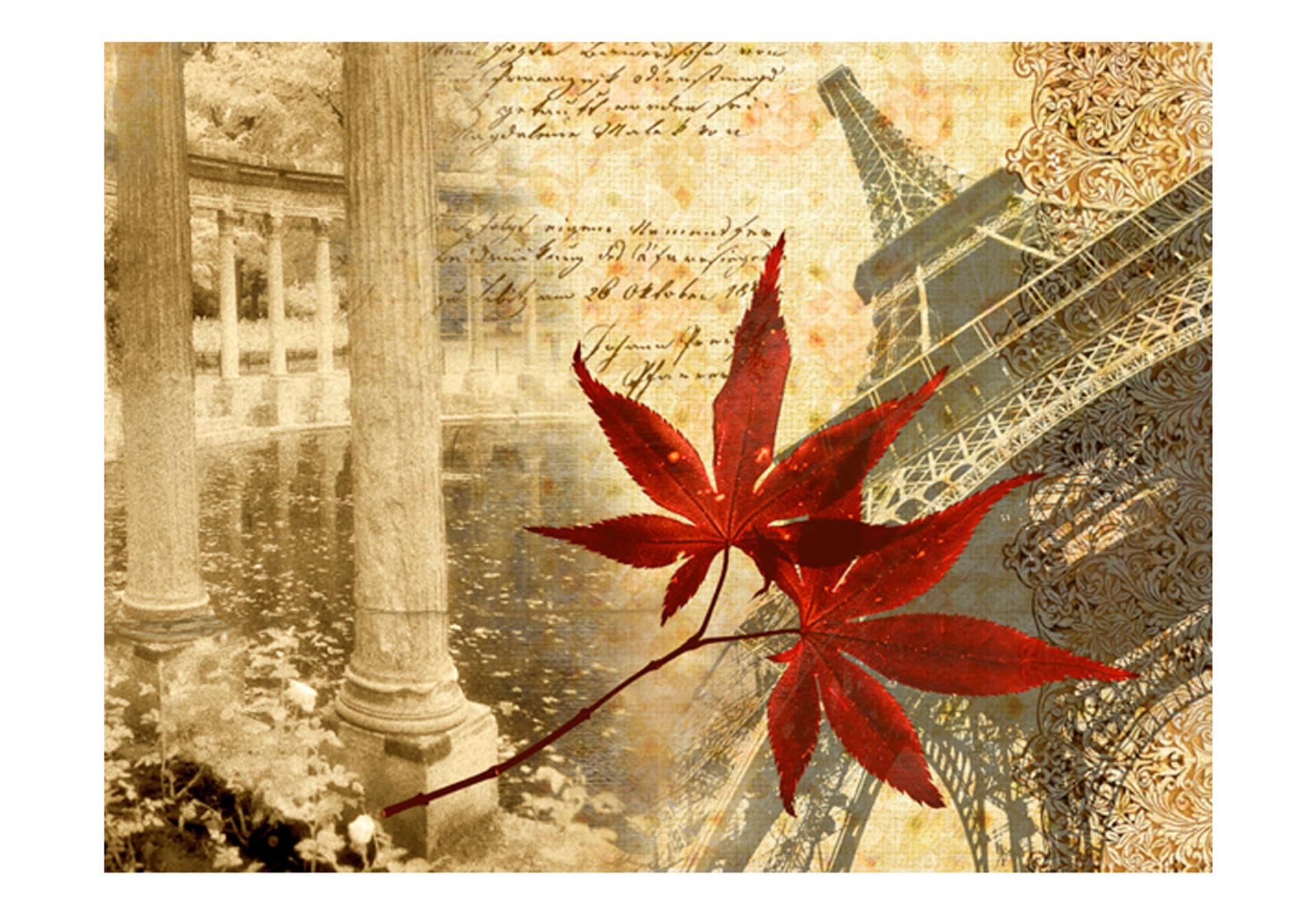 

Fototapeta - Jesień i Paryż (rozmiar 250x193)
