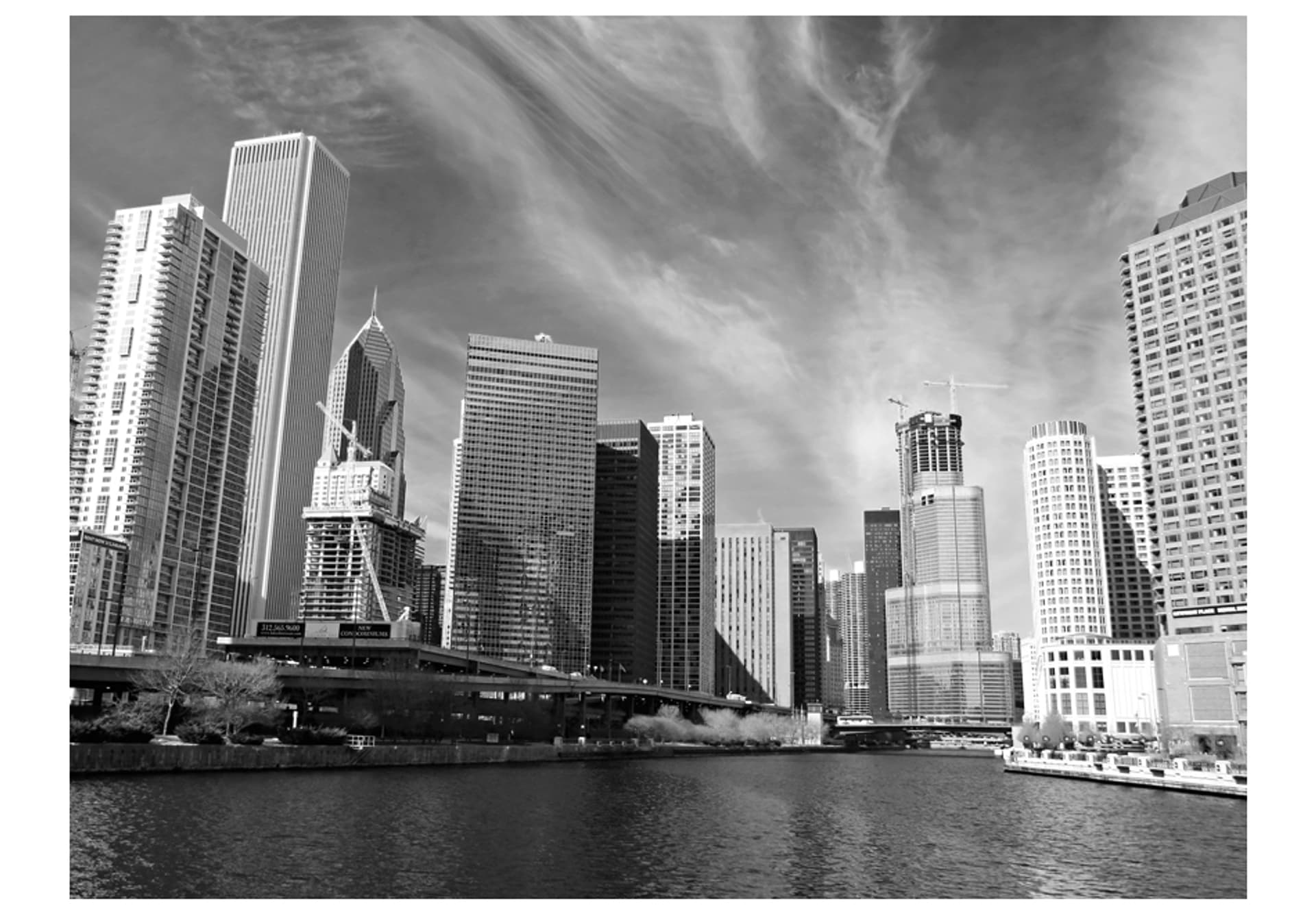 

Fototapeta - Panorama Chicago (black and white) (rozmiar 300x231)