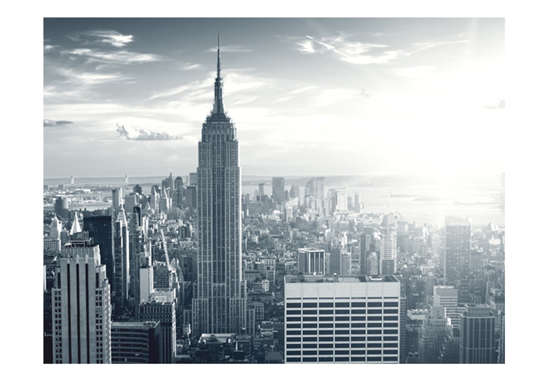 

Fototapeta - Widok na nowojorski Manhattan o świcie (rozmiar 350x270)