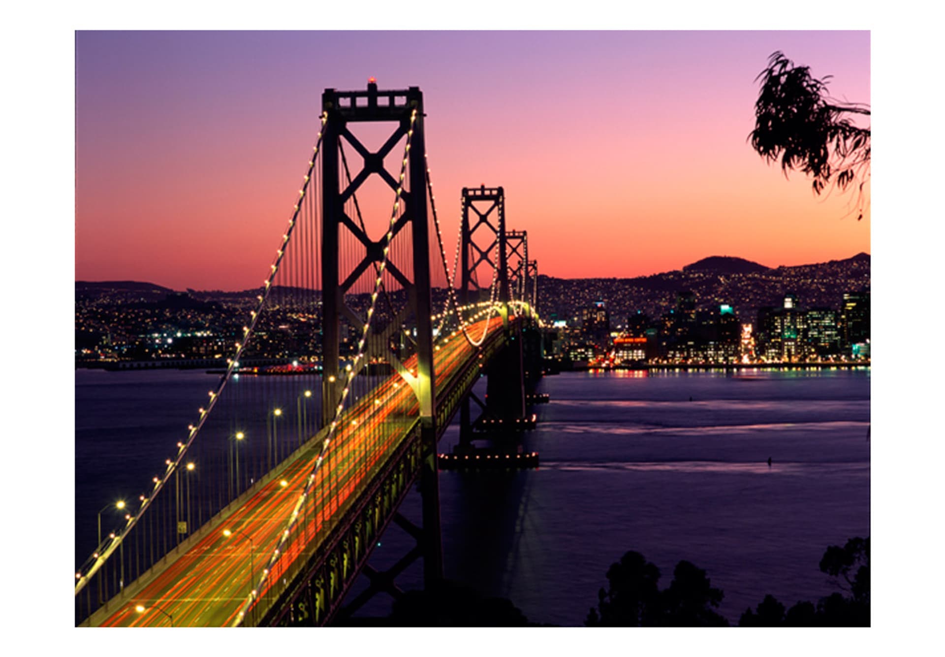 

Fototapeta - Charming evening in San Francisco (rozmiar 400x309)