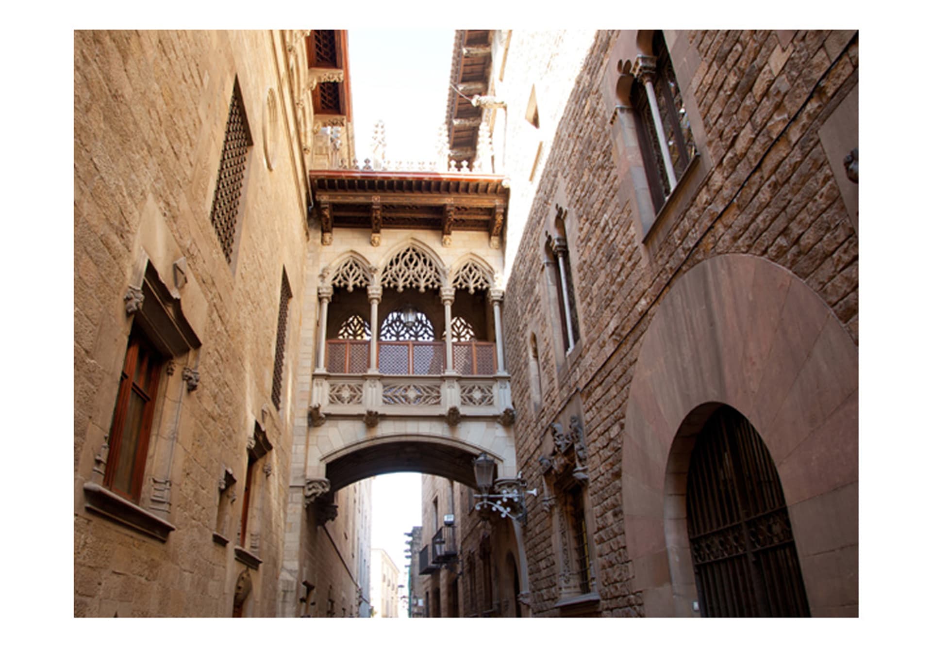 

Fototapeta - Barcelona Palau generalitat in gothic Barrio (rozmiar 400x309)