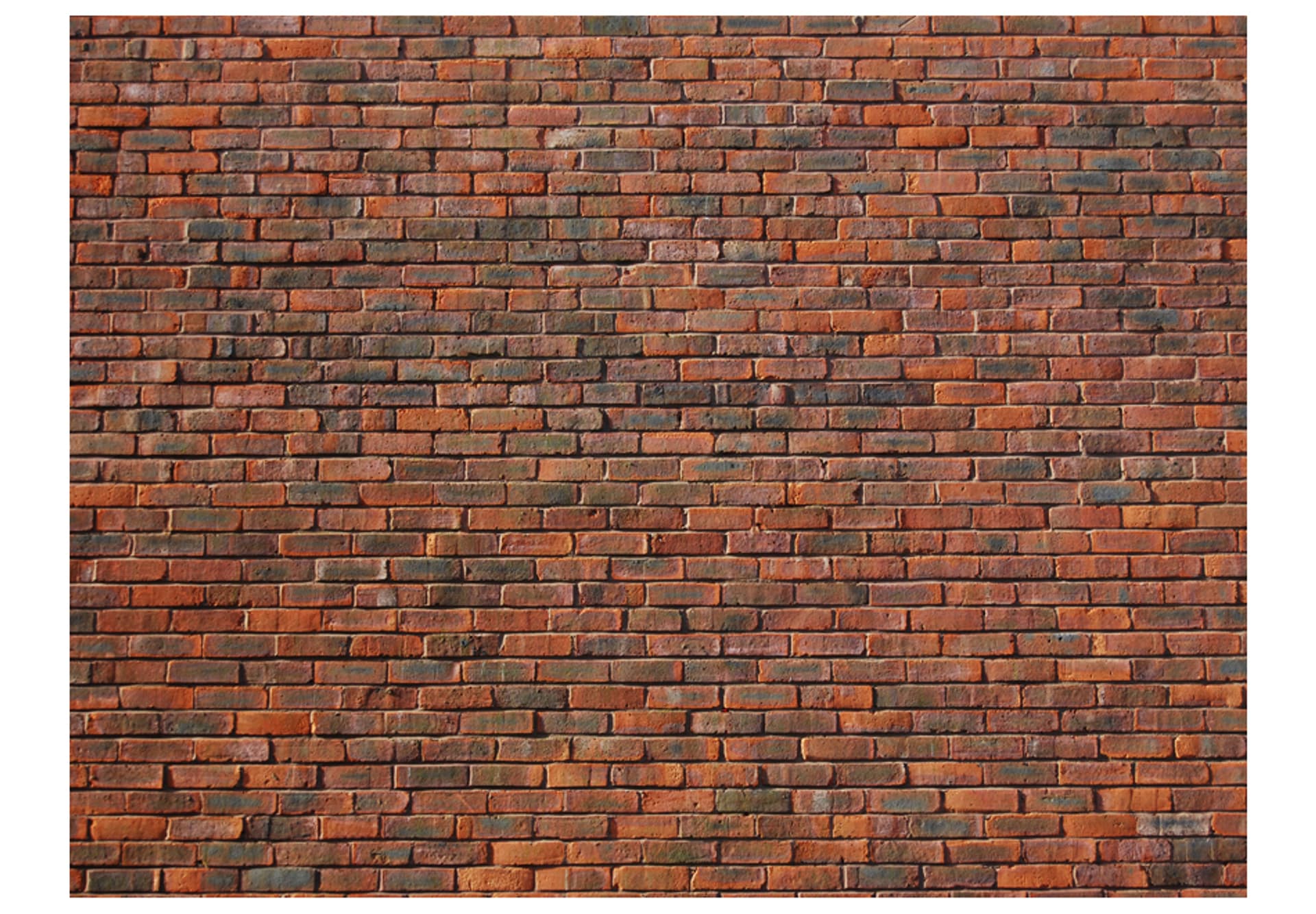 

Fototapeta - wzór: cegła (rozmiar 350x270)