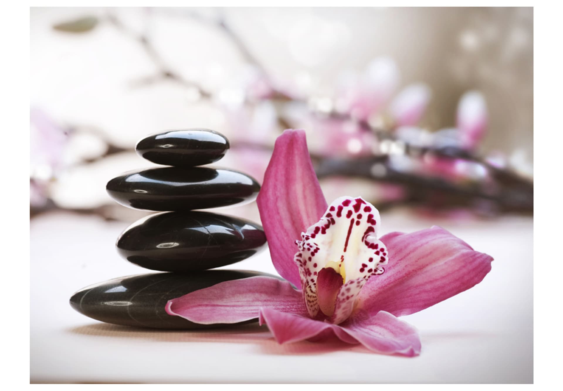 

Fototapeta - Relaxation and Wellness (rozmiar 200x154)