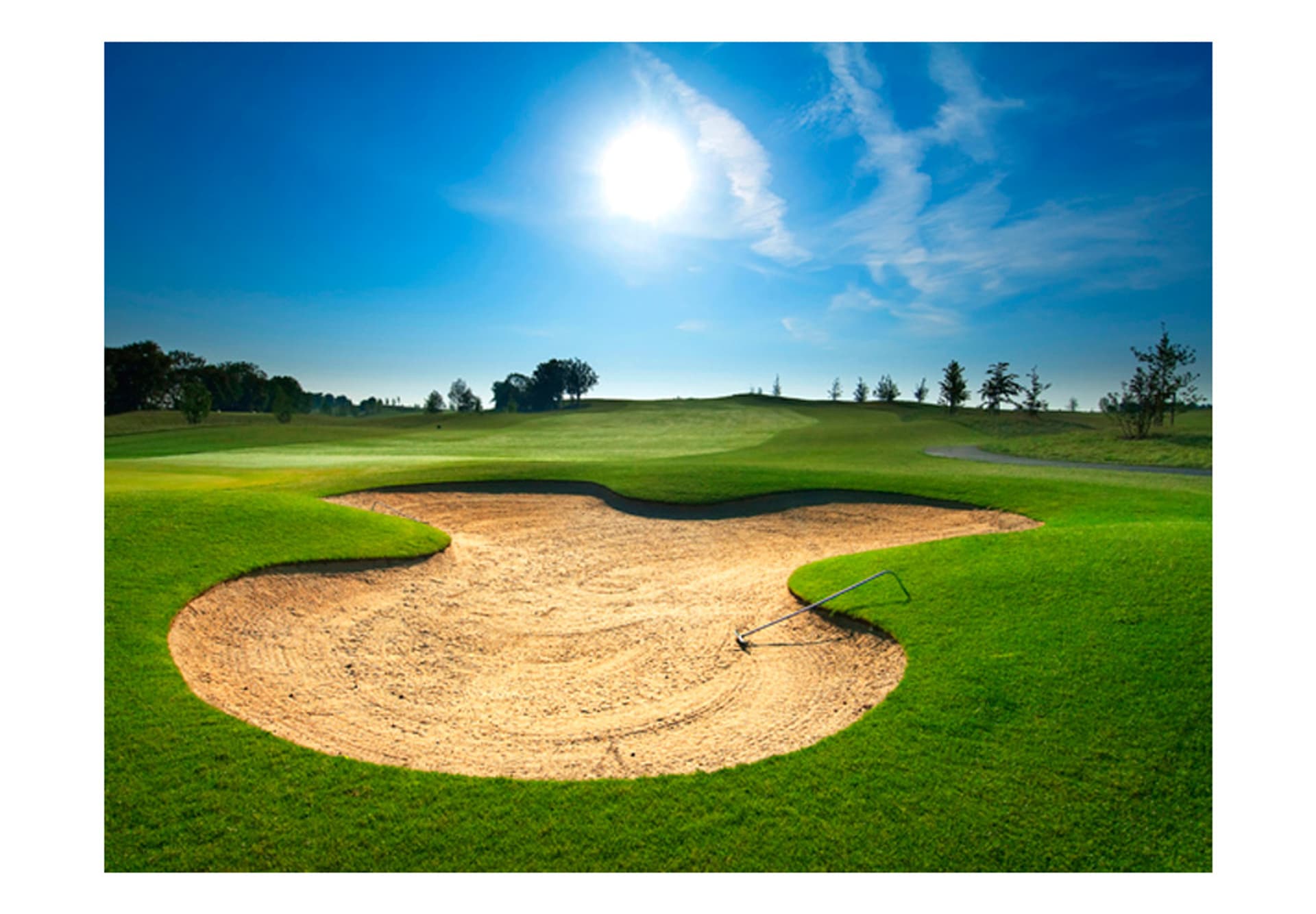 

Fototapeta - Pole golfowe (rozmiar 350x270)