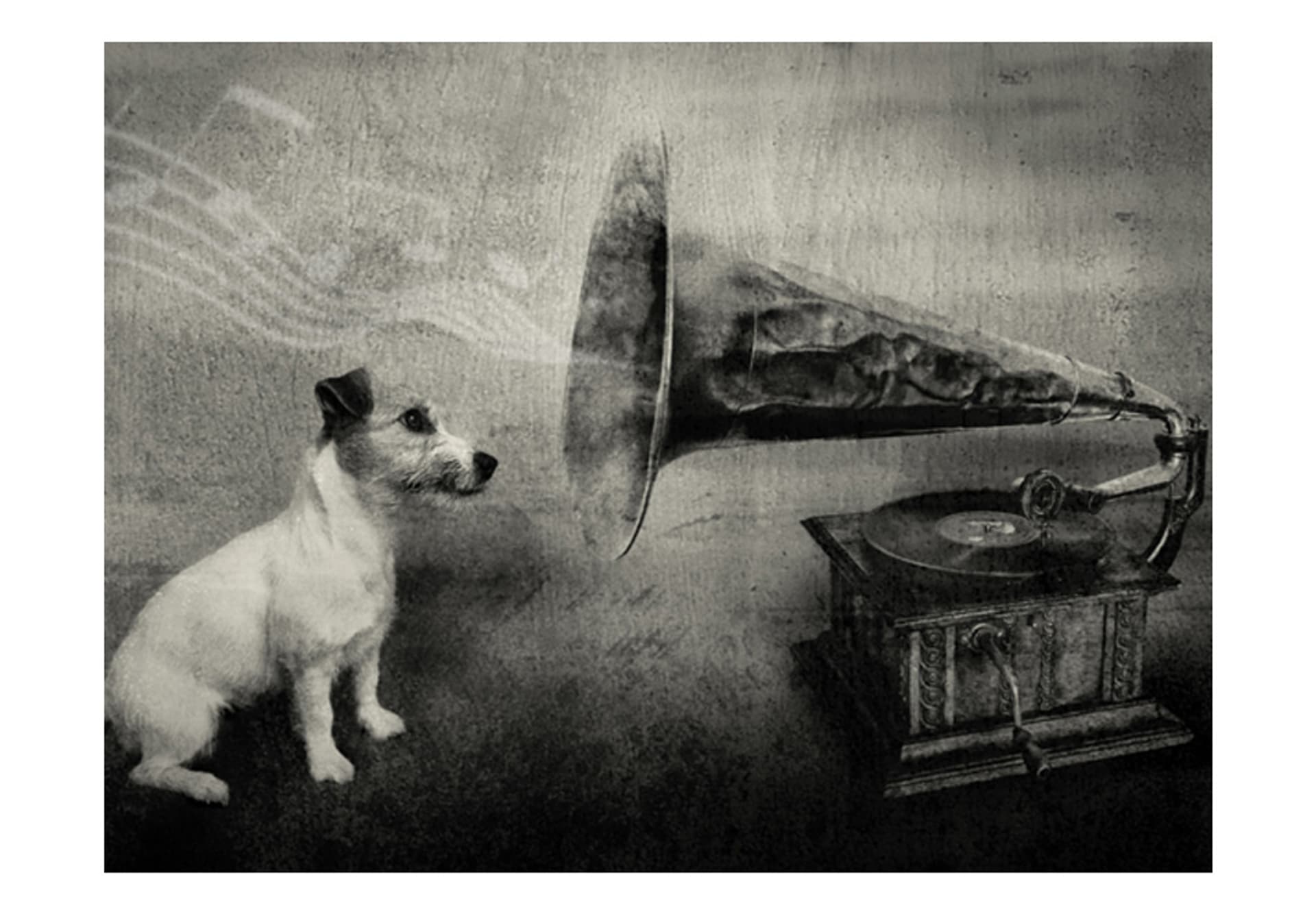 

Fototapeta - Dog's melodies (rozmiar 300x231)