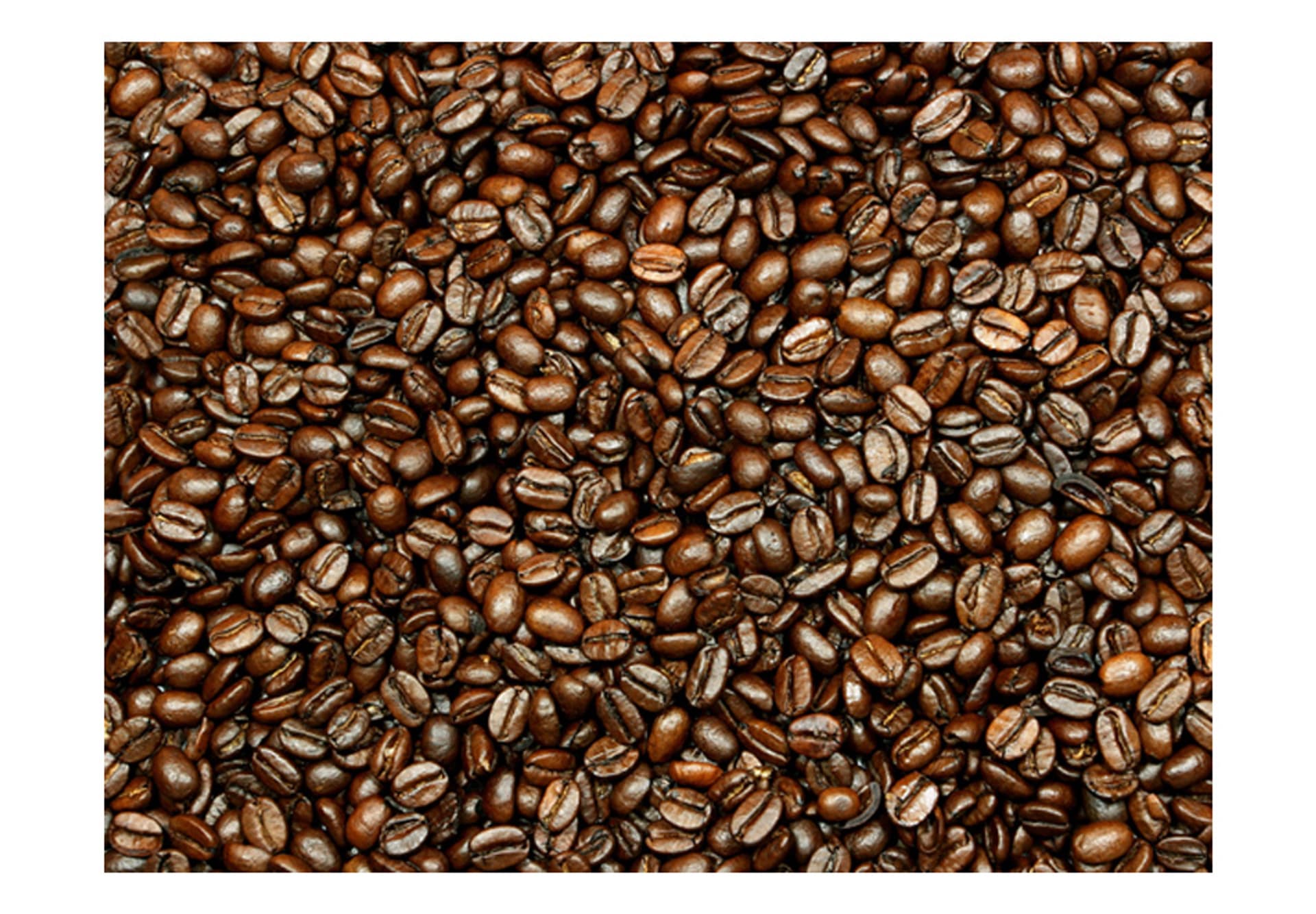 

Fototapeta - Coffee heaven (rozmiar 300x231)