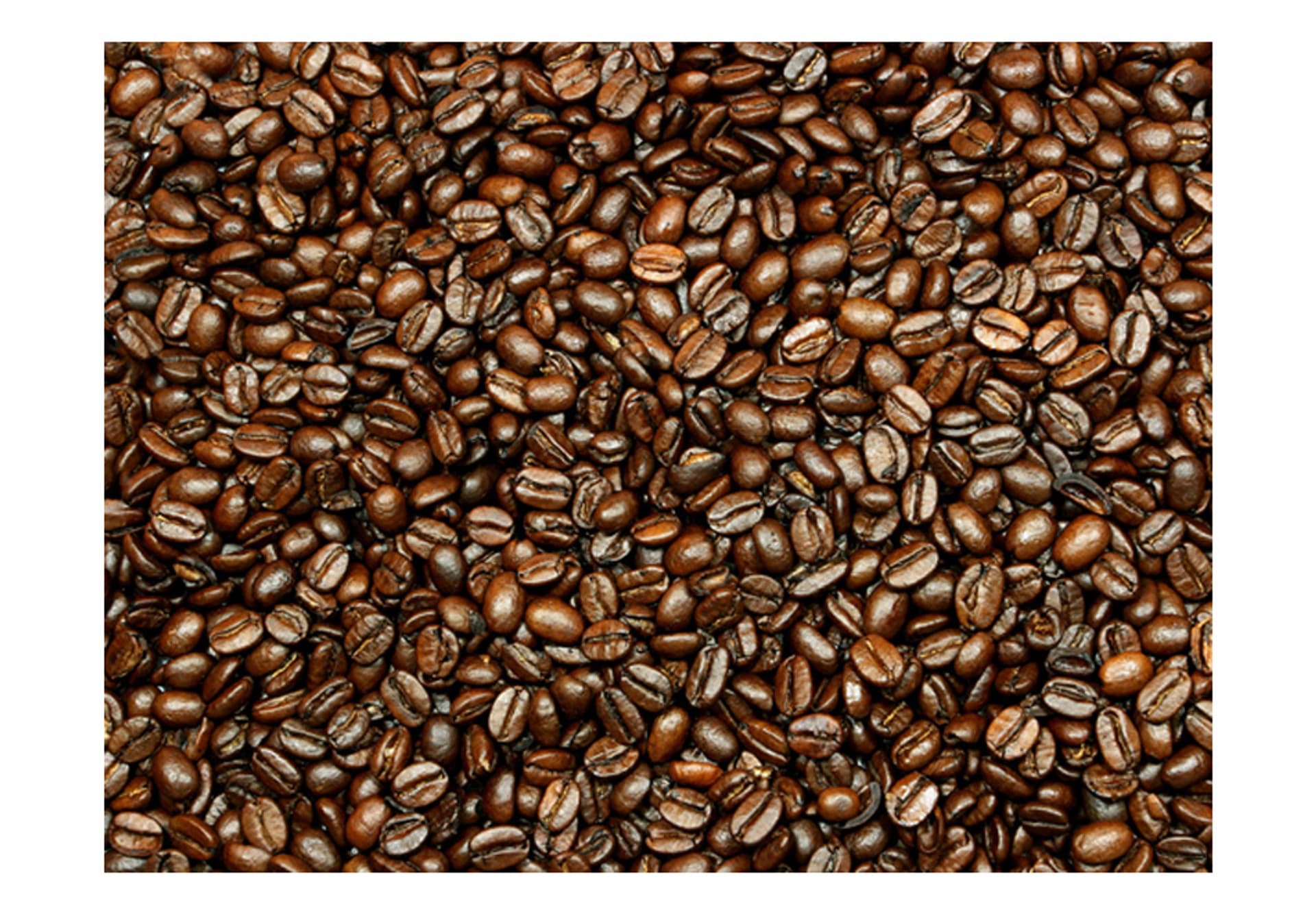 

Fototapeta - Coffee heaven (rozmiar 400x309)