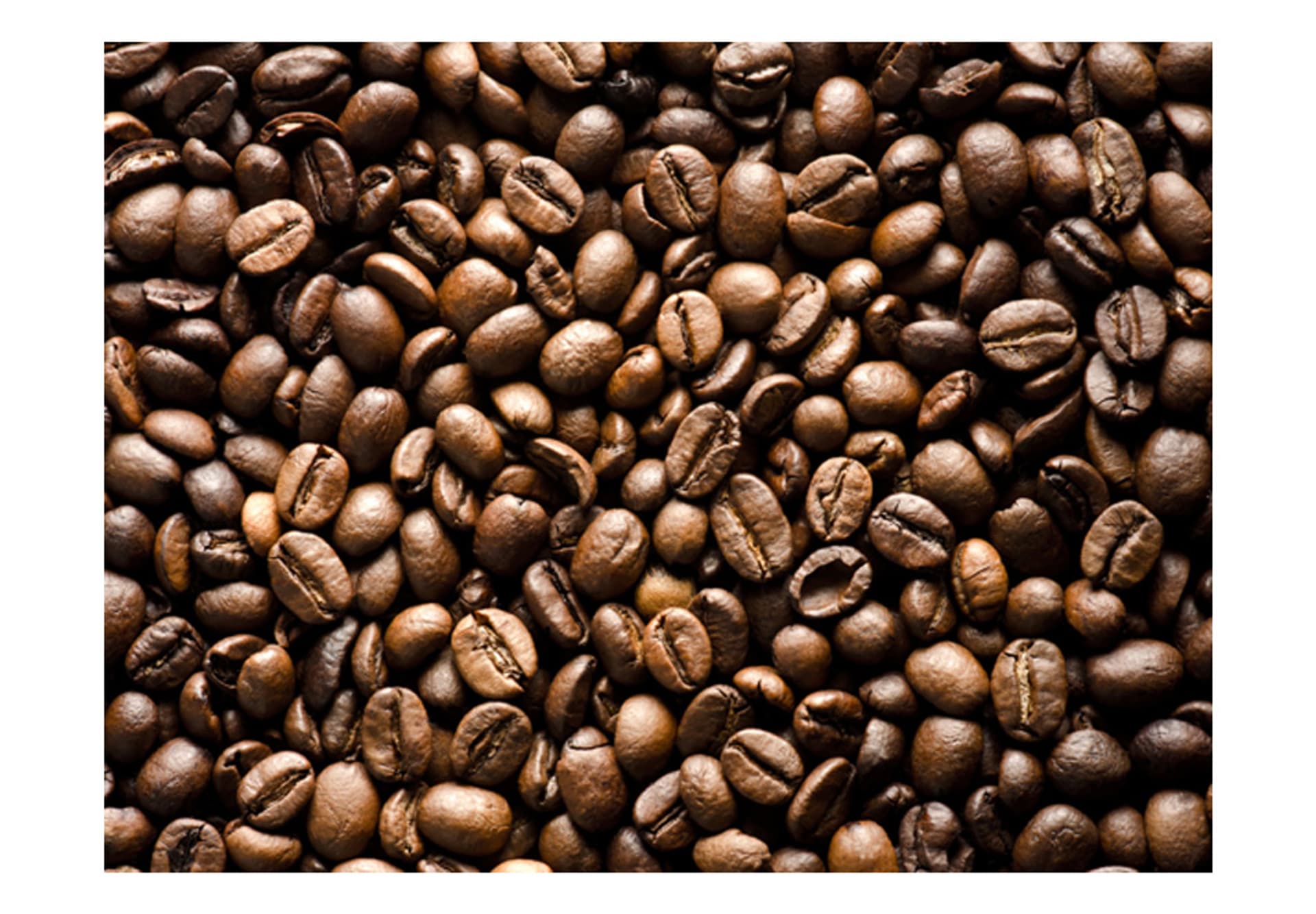 

Fototapeta - Roasted coffee beans (rozmiar 200x154)