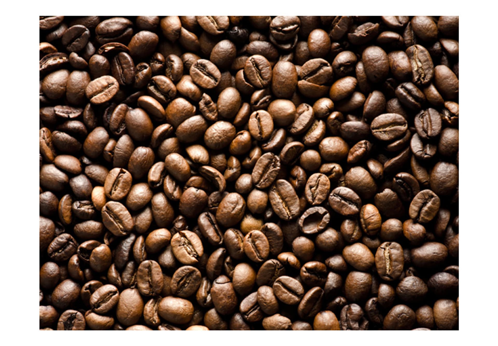 

Fototapeta - Roasted coffee beans (rozmiar 250x193)