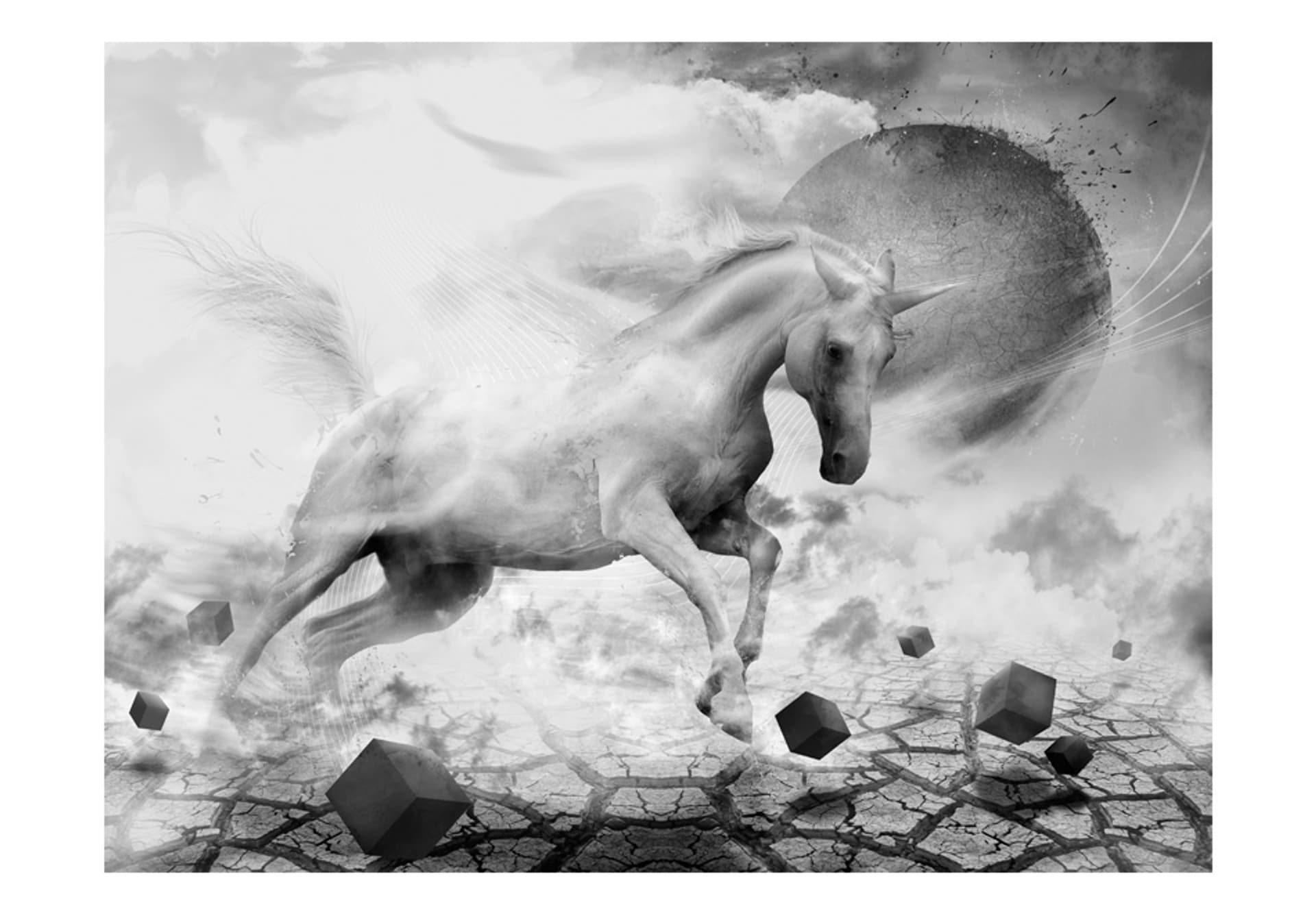 

Fototapeta - Unicorn (rozmiar 400x309)
