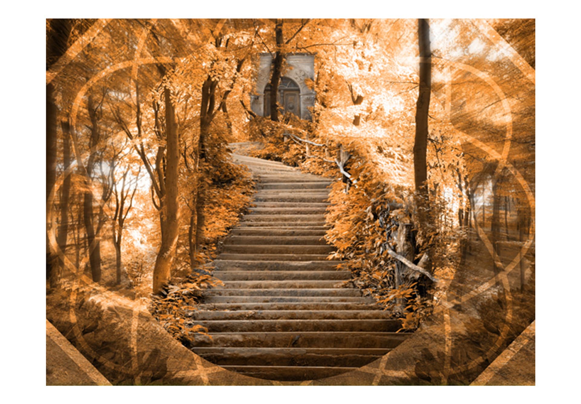 

Fototapeta - Stairs to paradise (rozmiar 400x309)
