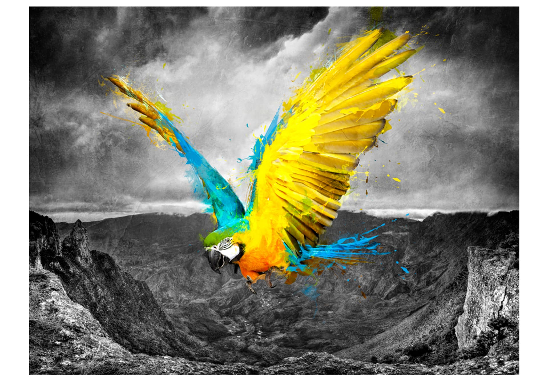 

Fototapeta - Exotic parrot (rozmiar 300x231)