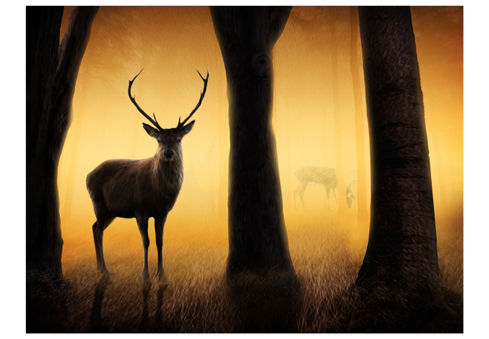 

Fototapeta - Deer in his natural habitat (rozmiar 300x231)