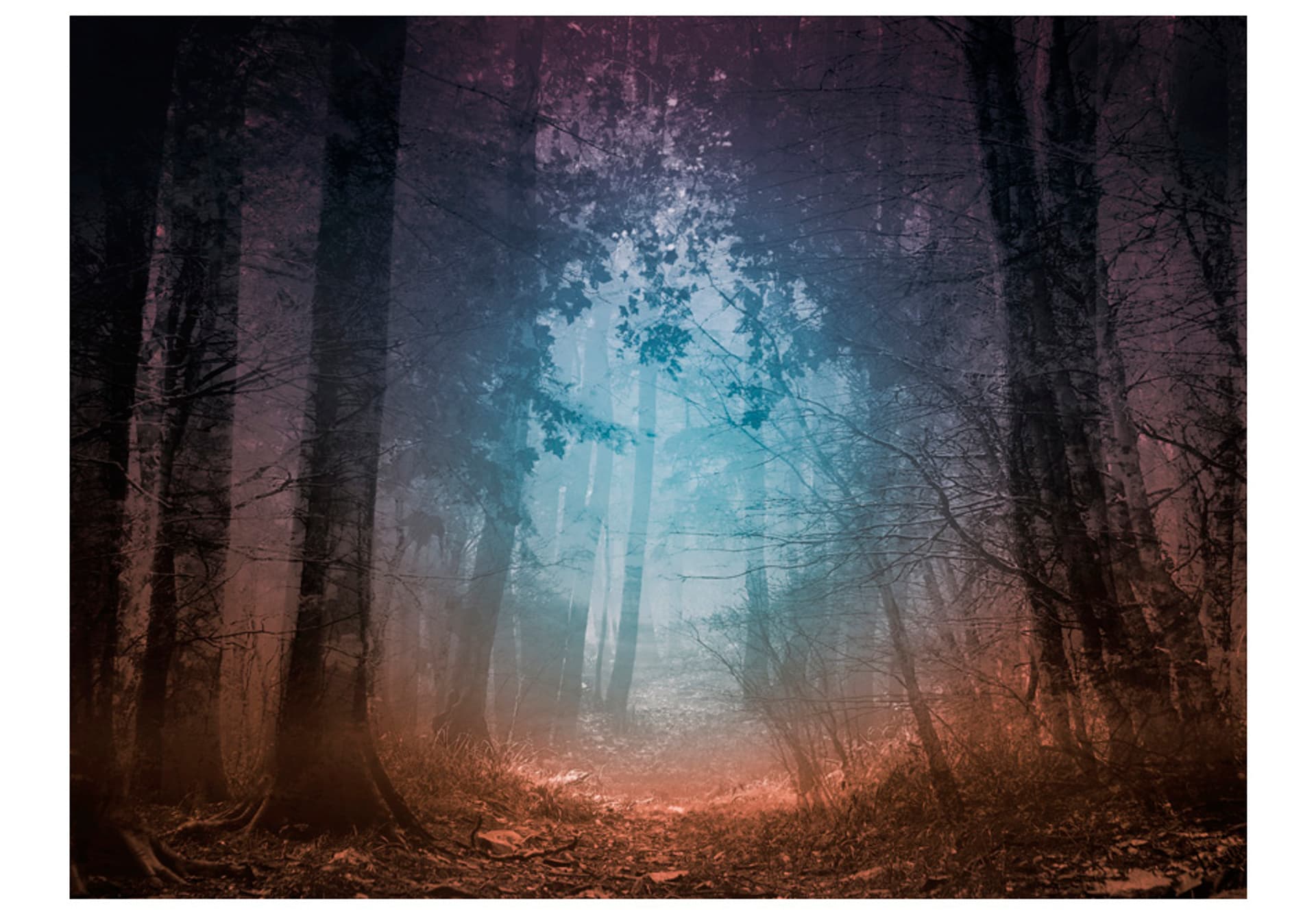 

Fototapeta - Keep breathing (rozmiar 200x154)