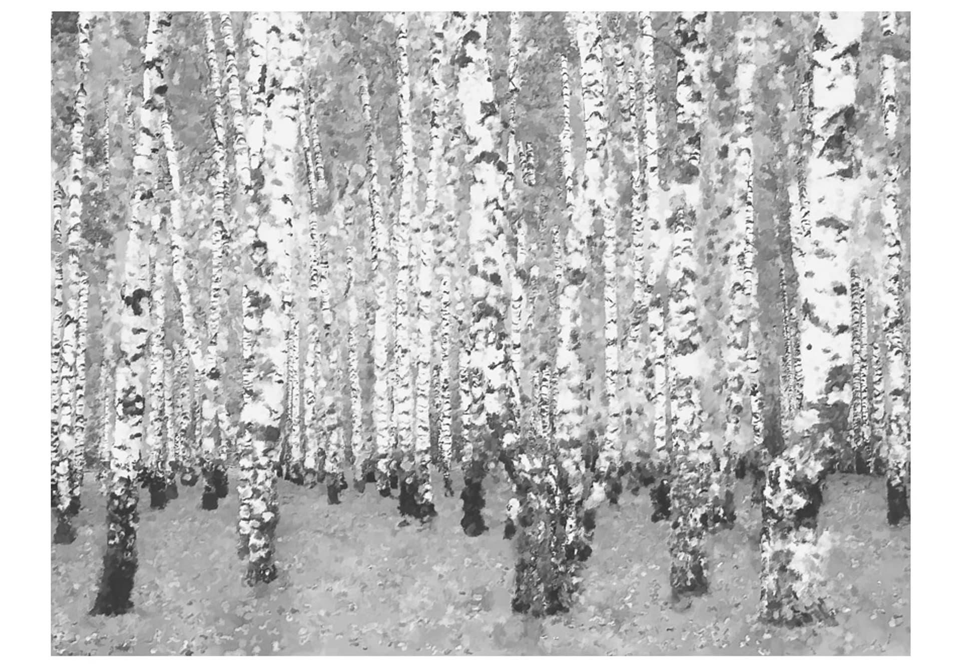 

Fototapeta - Brzozowe zacisze (rozmiar 250x193)