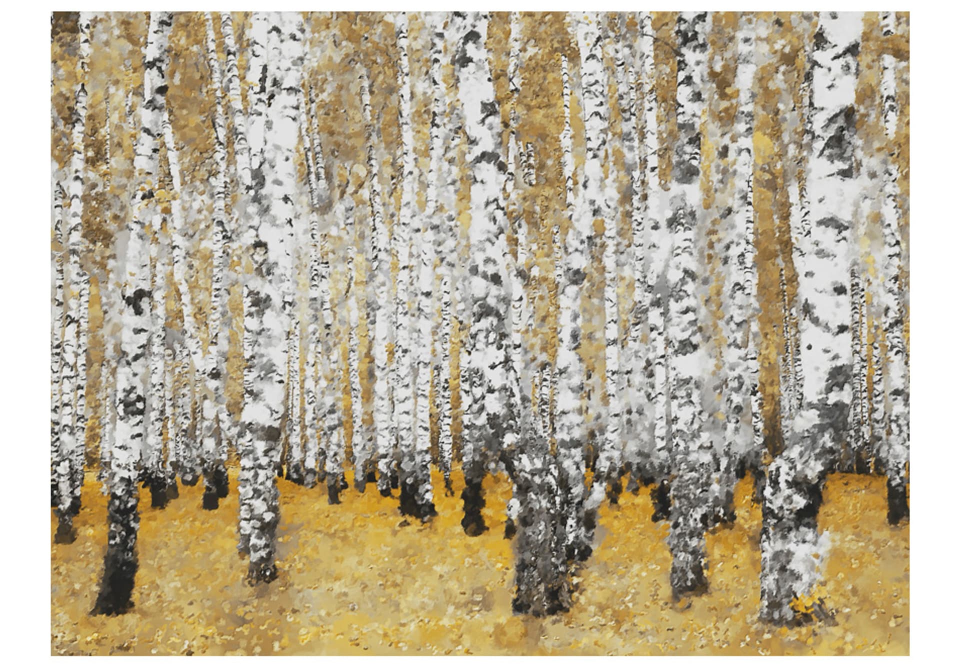 

Fototapeta - Jesienny brzozowy las (rozmiar 200x154)